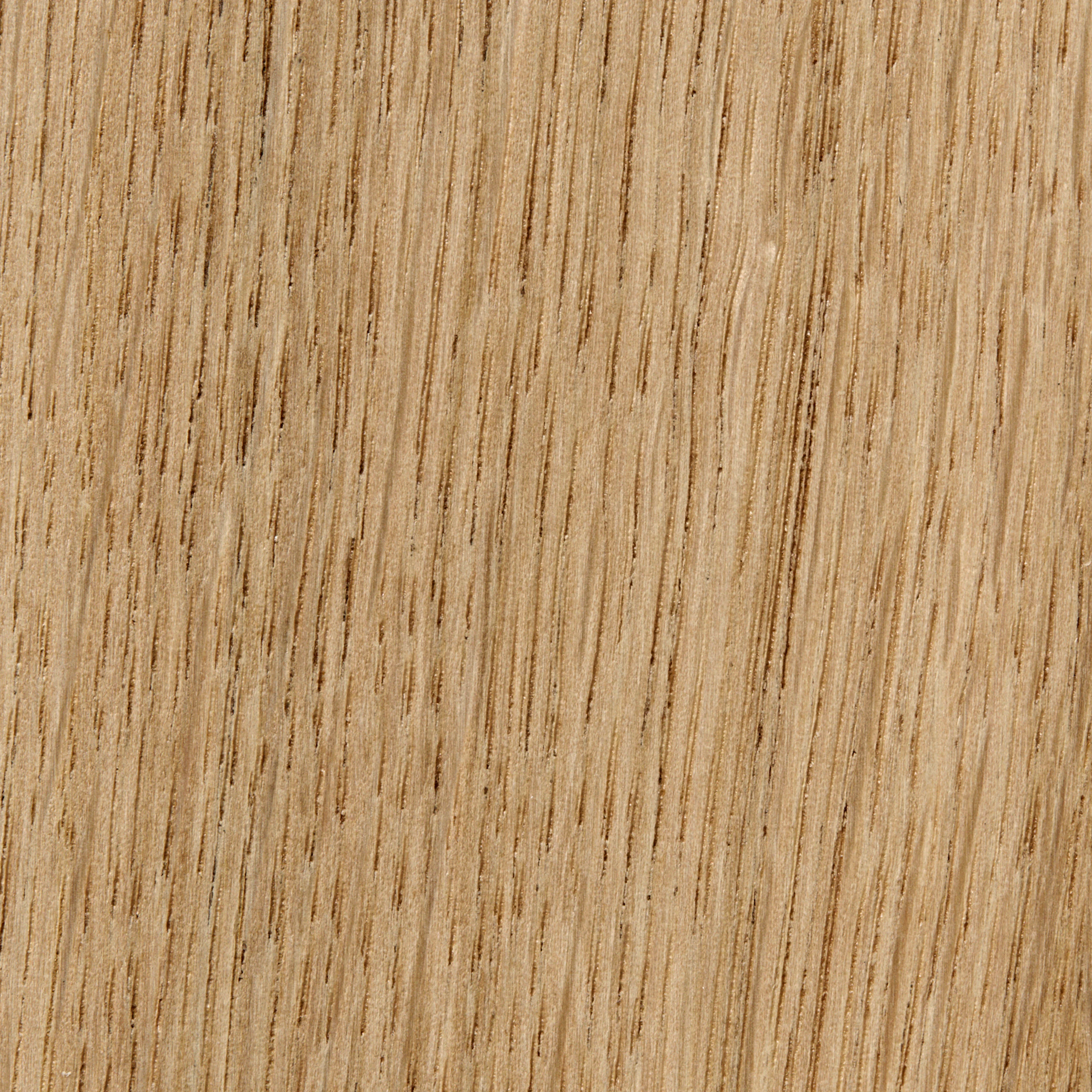 Lacquered Oak