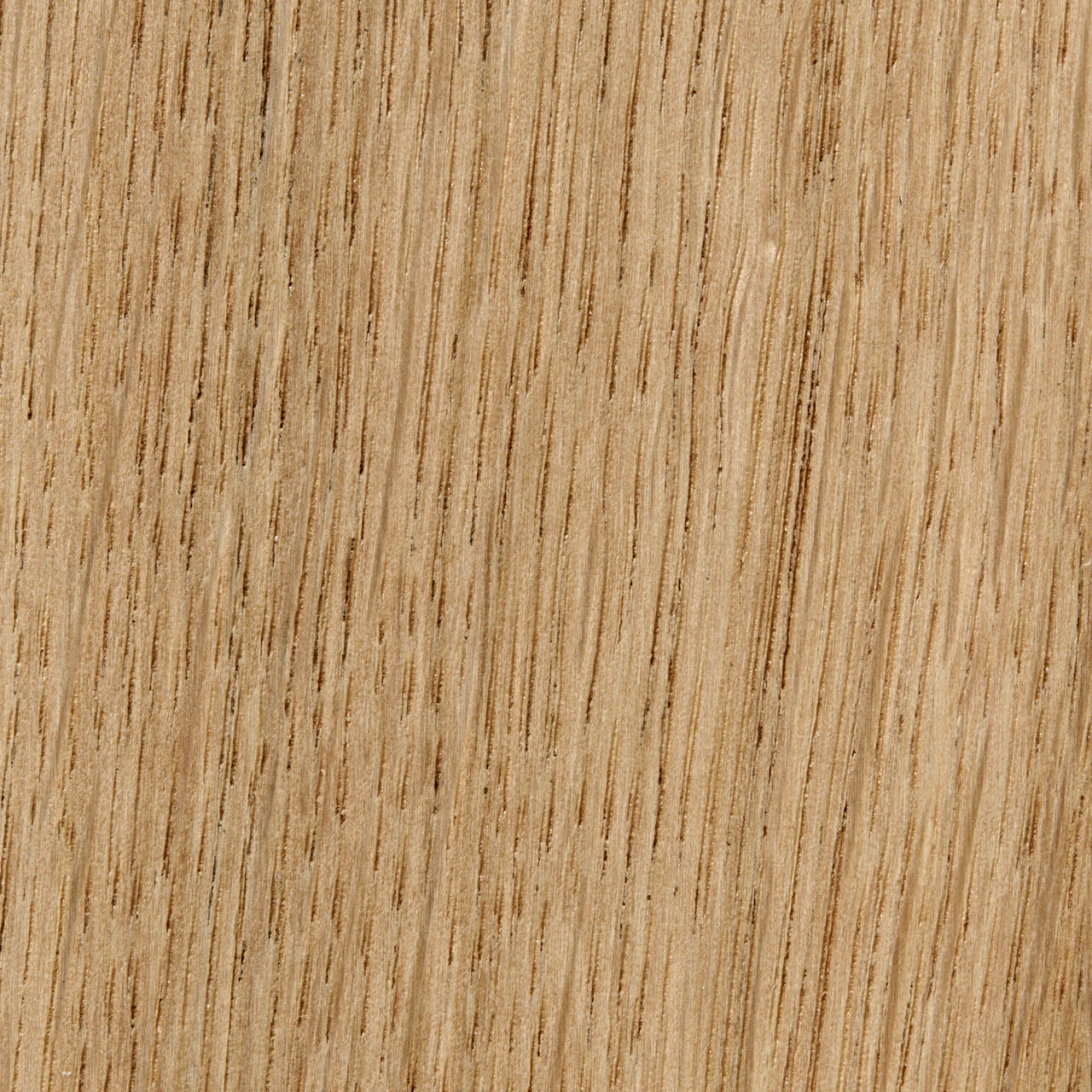 Lacquered Oak