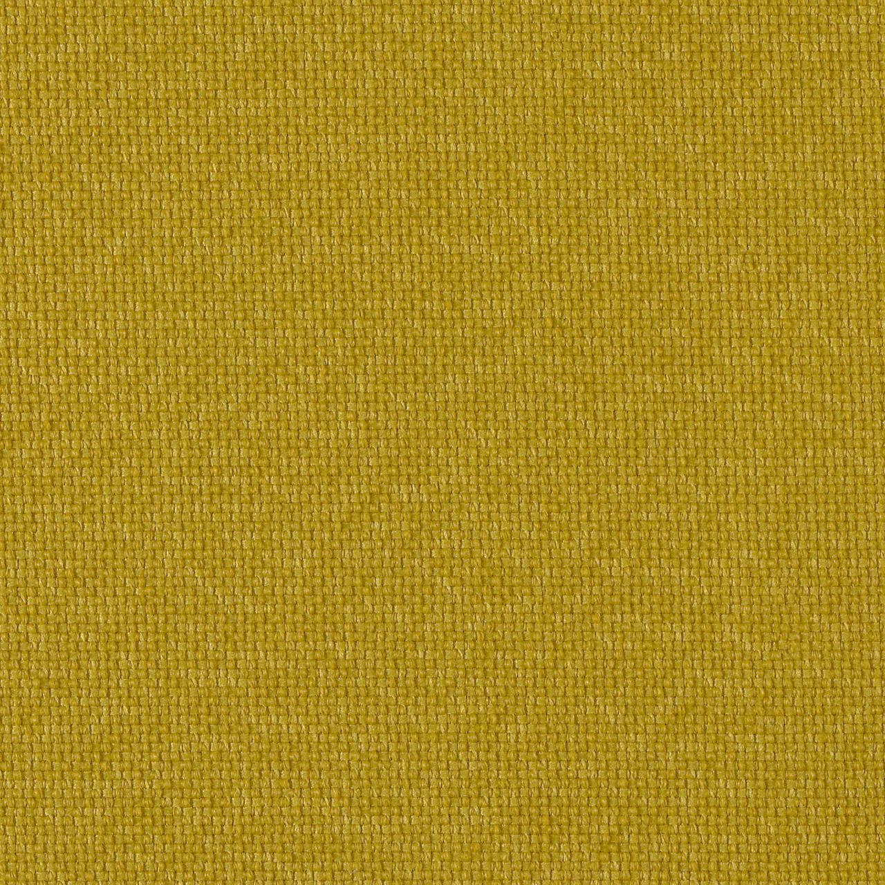 Yellow Dark