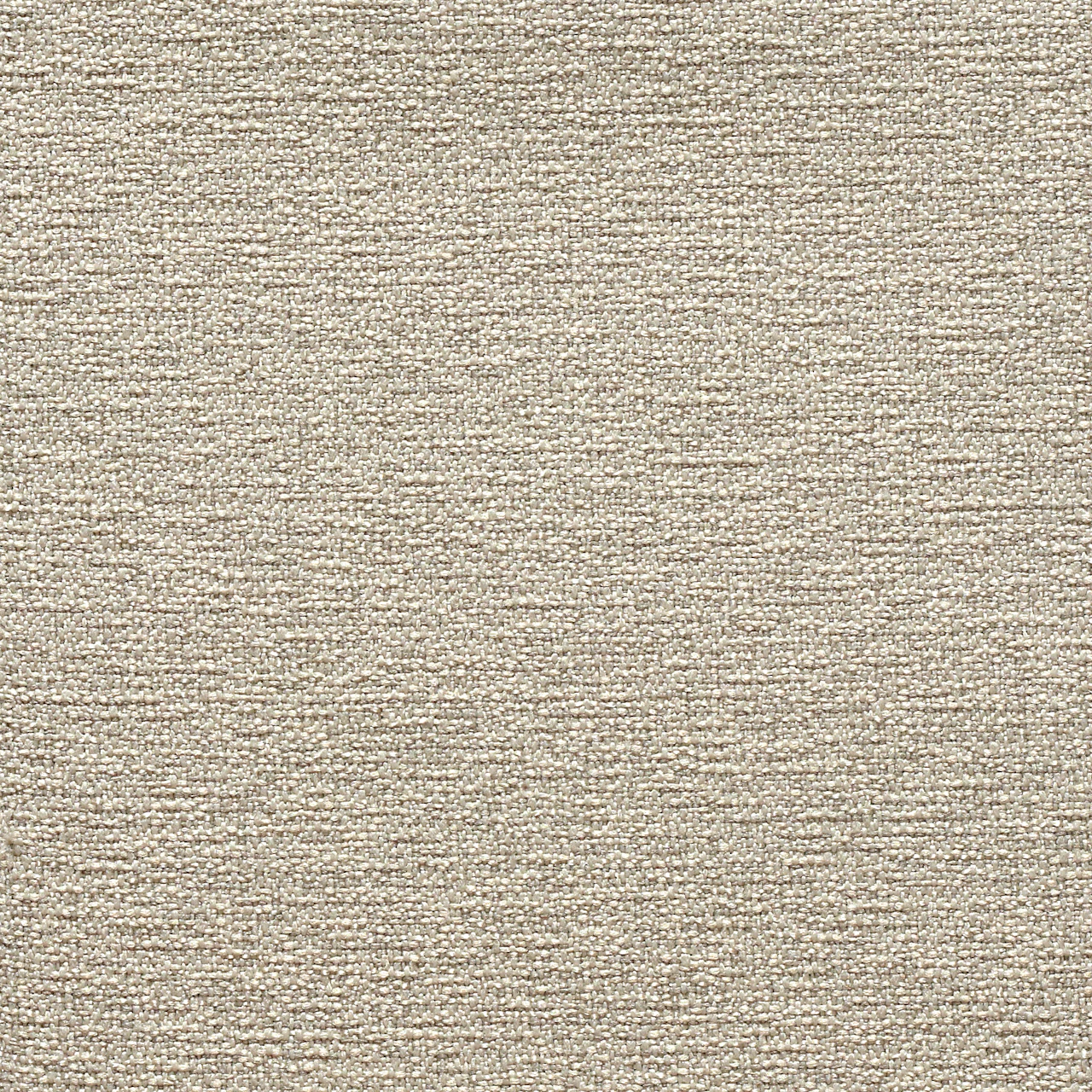 Birch