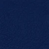 Bluebonnet