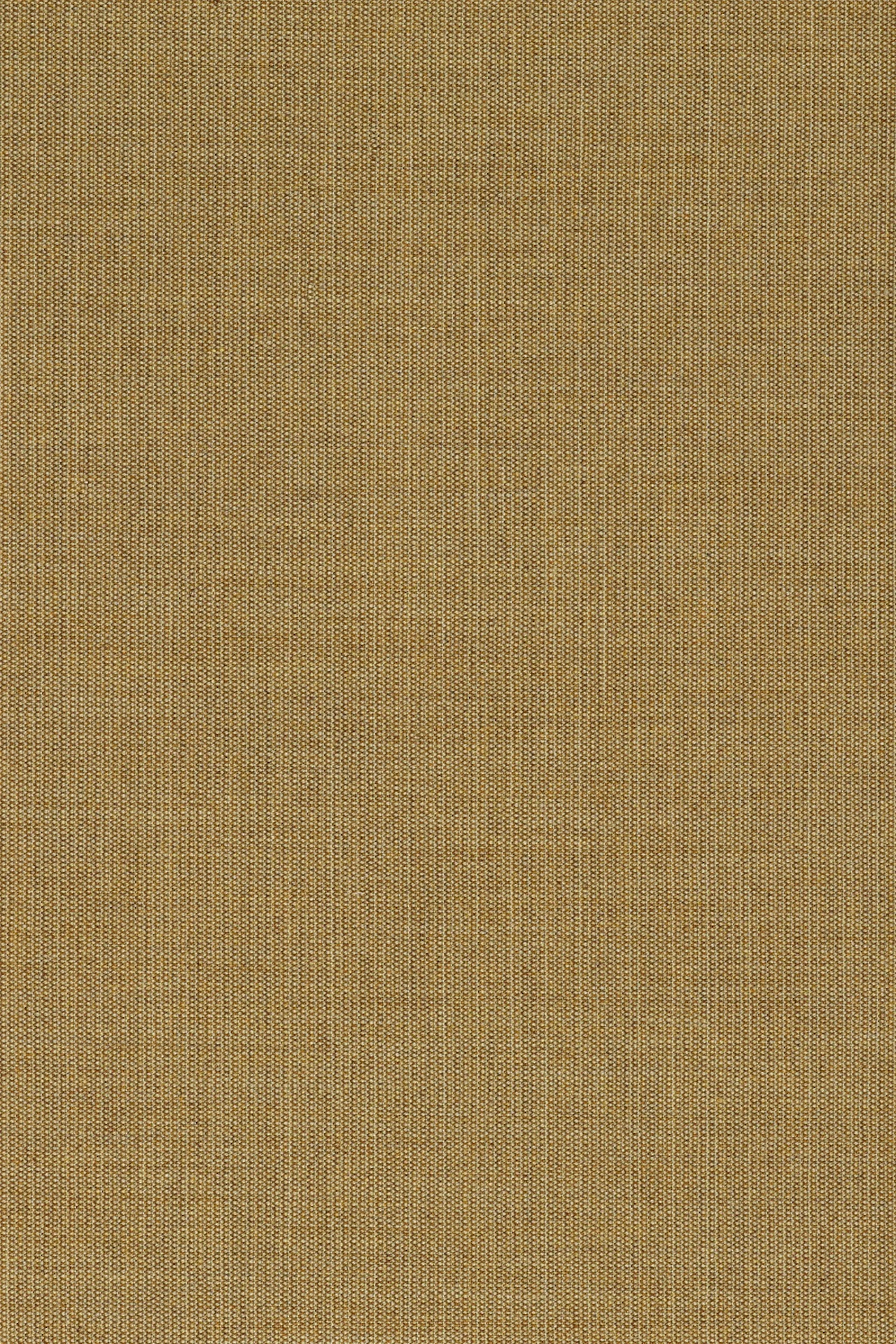 254