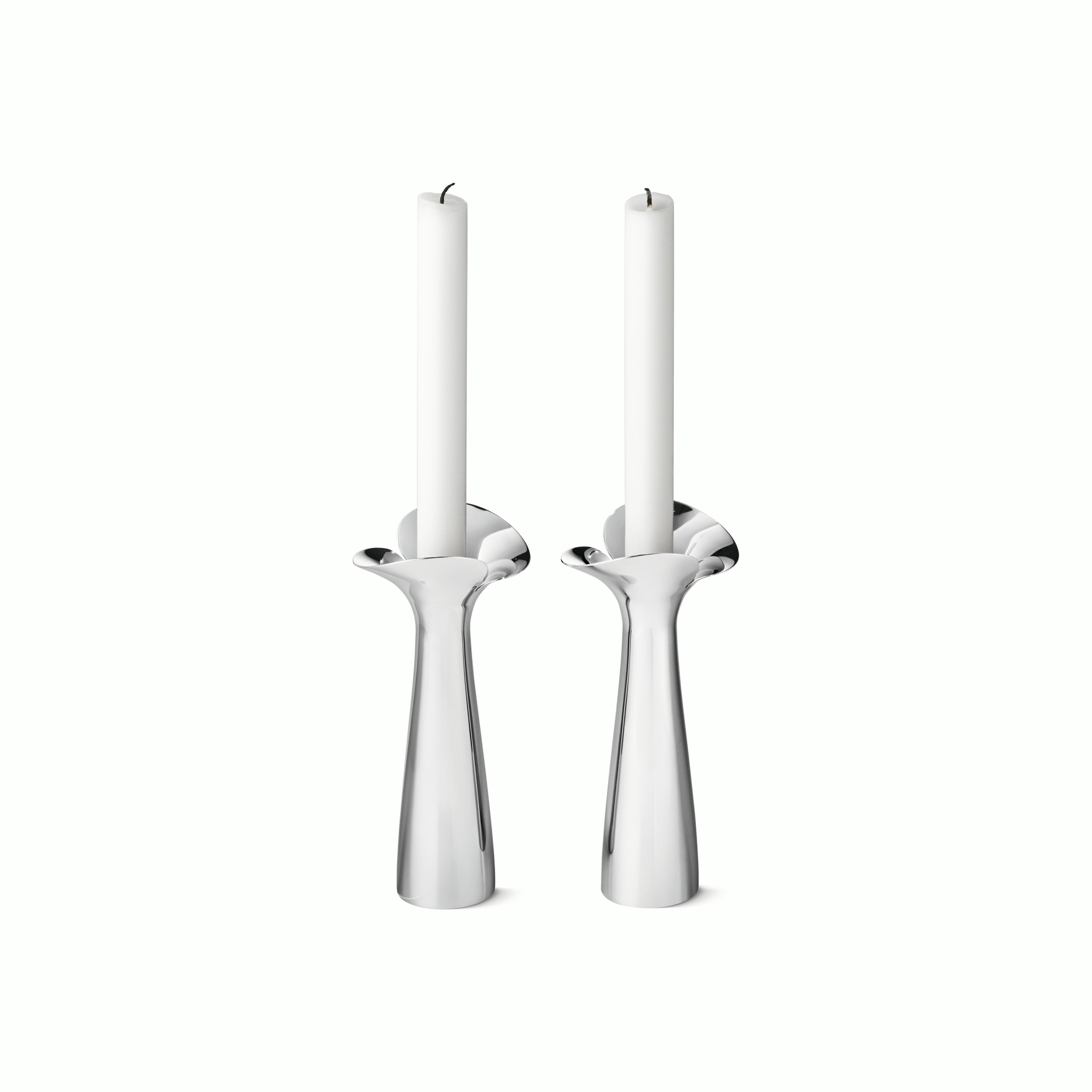 Bloom Botanica Candleholder - Set of 2