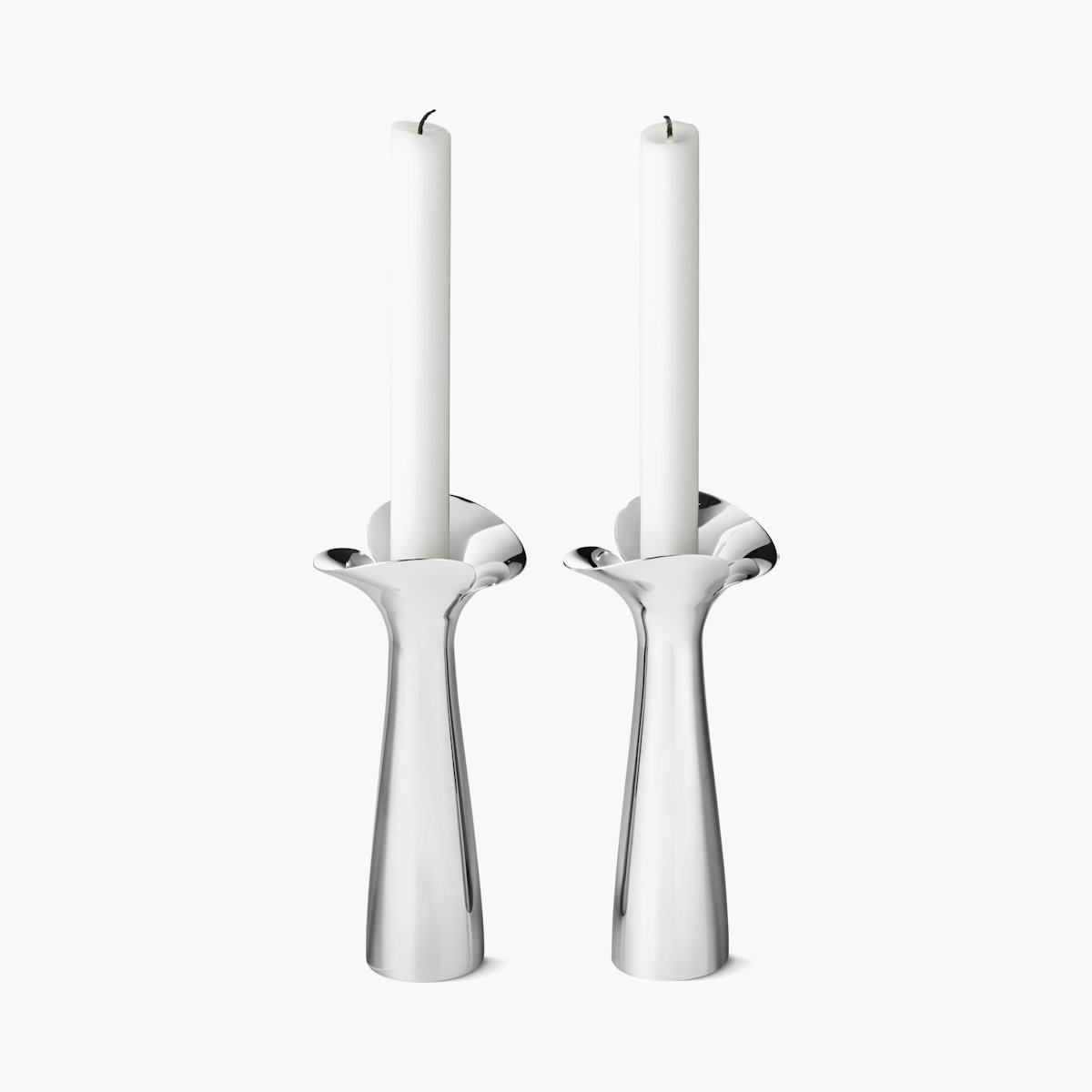 Bloom Botanica Candleholder - Set of 2 Bloom Botanica Candleholder - Set of 2