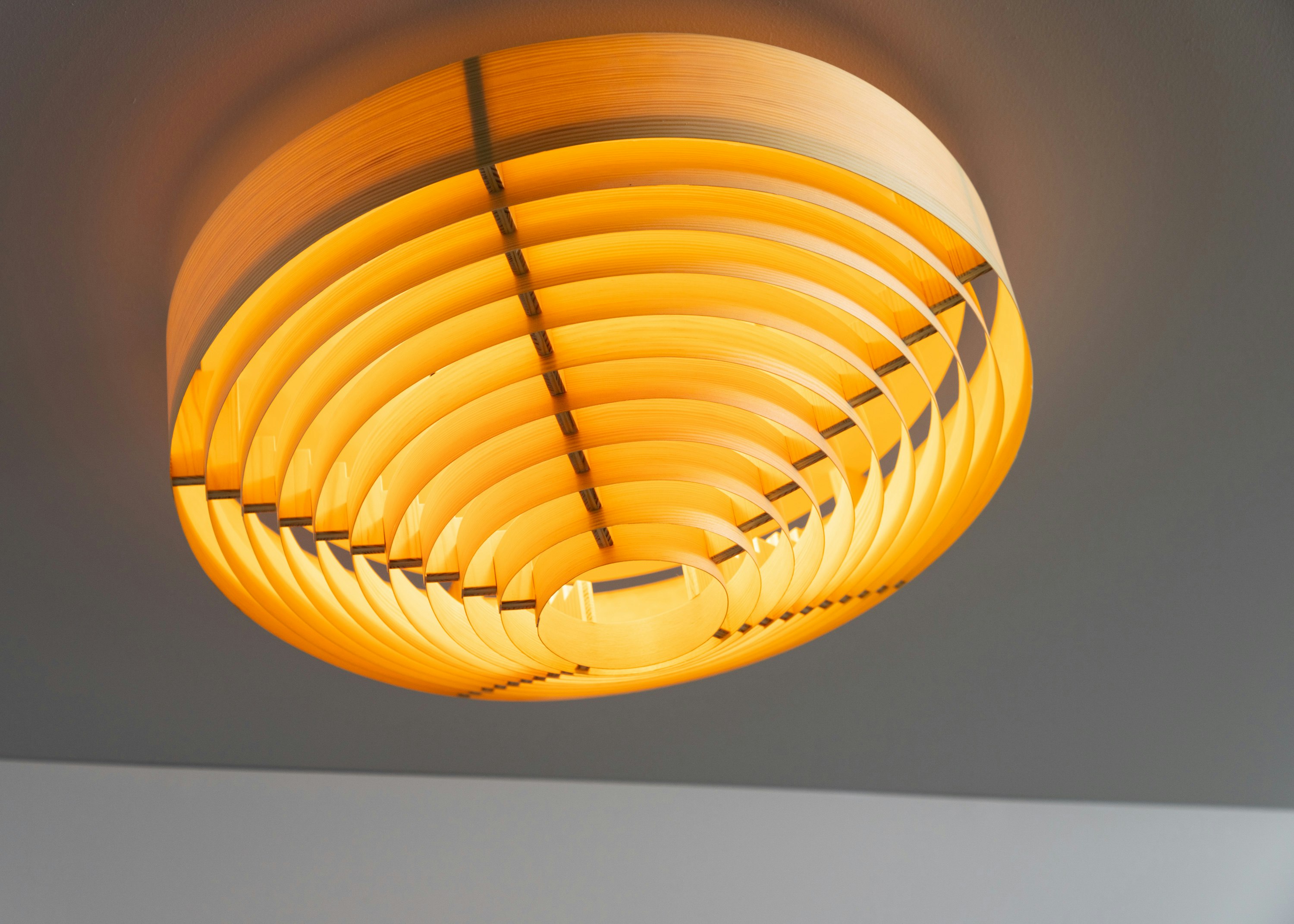 1005 Hans Ceiling Light