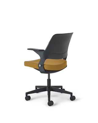 Ollo with Shell Back