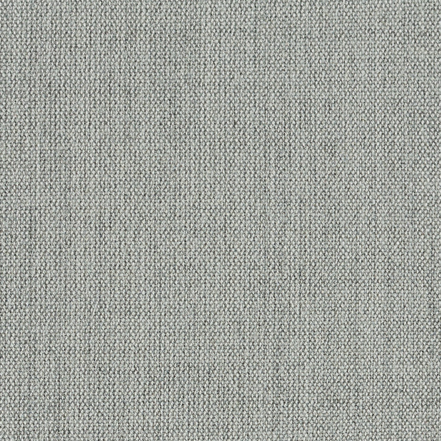 Daydream Silver Birch