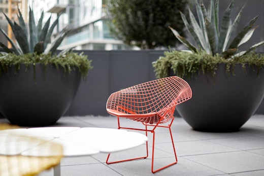 Bertoia Diamond Chair Richard Schultz Petal Coffee Table outdoor community shared spaces