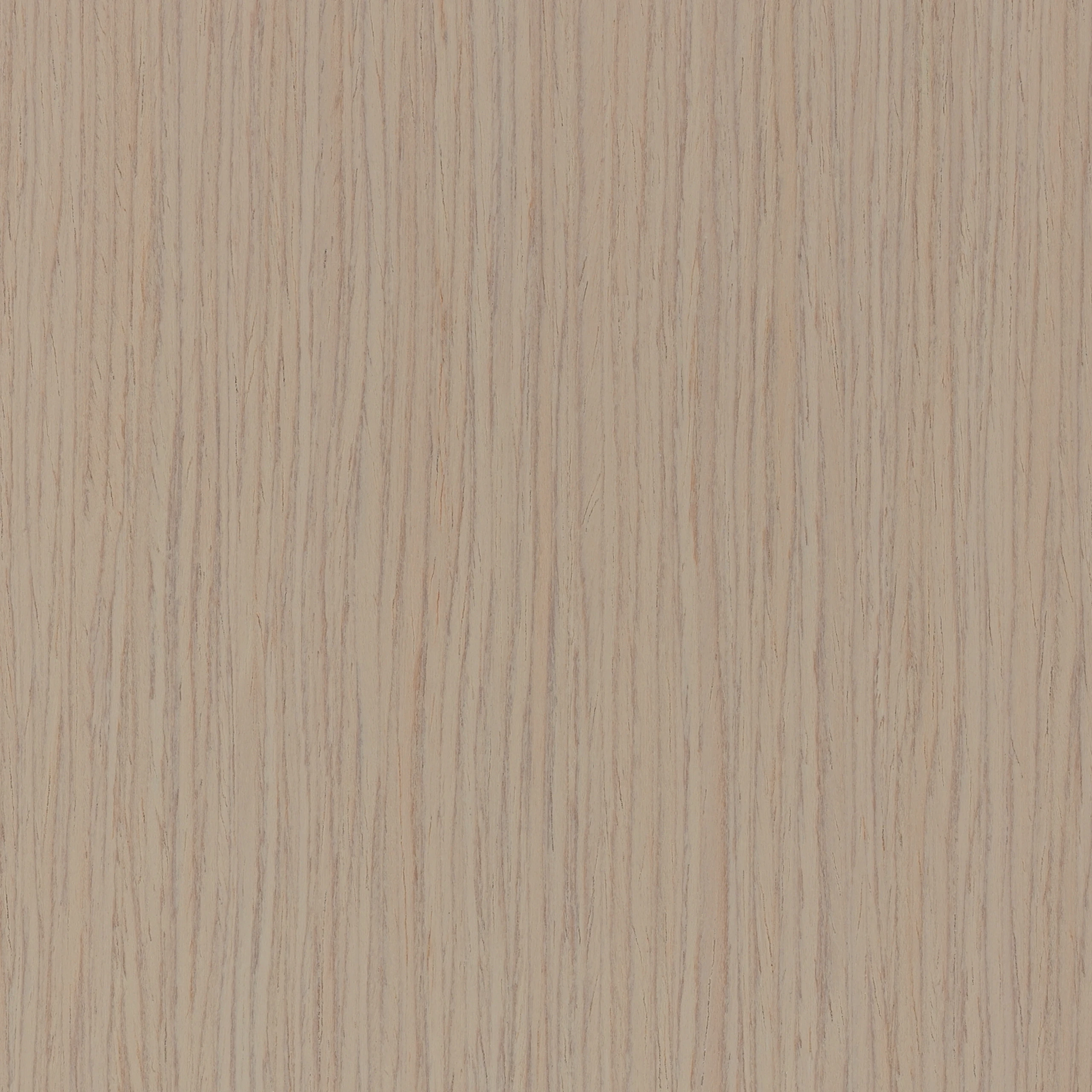 Whitened Quartered Oak Techwood