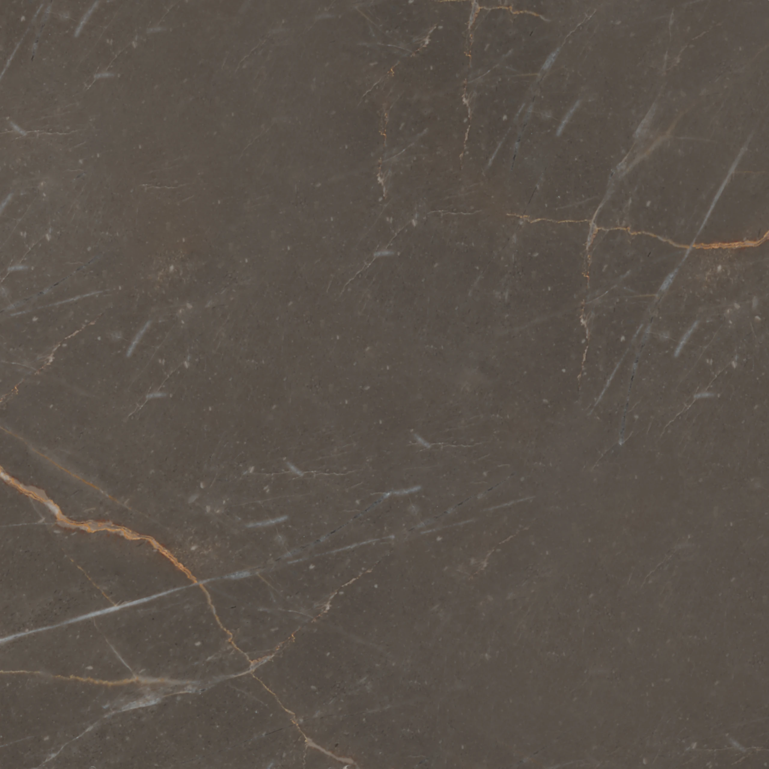 Ombra Di Caravaggio Polished/Honed