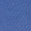 Berry Blue