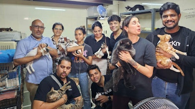 A group of volunteers holding cats at an animal shelter.