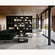 Lounge chairs in a room with dark furniture.
