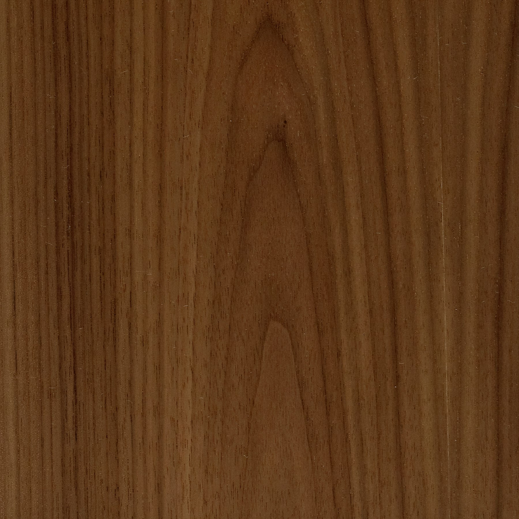 Wood & Veneer Walnut
