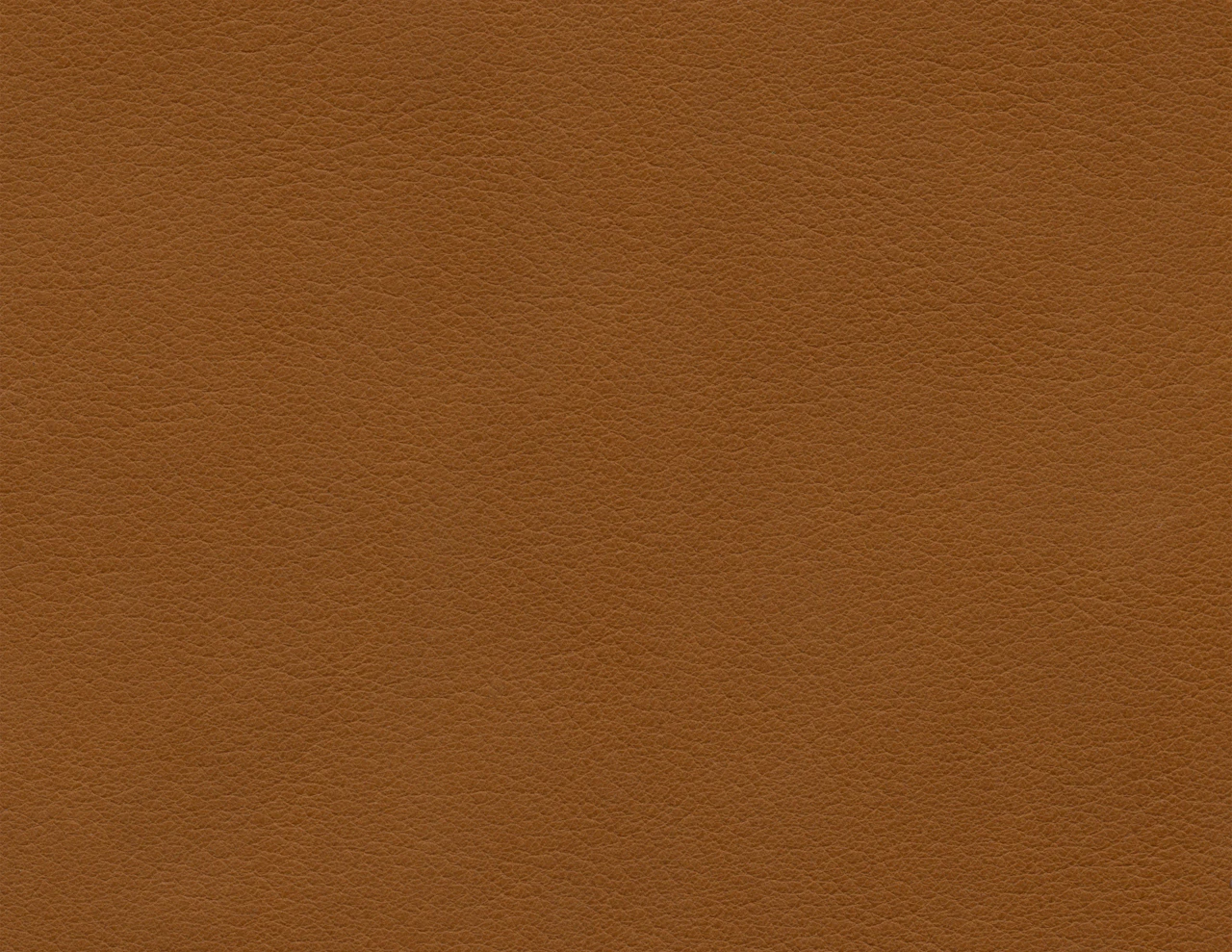 Cinnamon