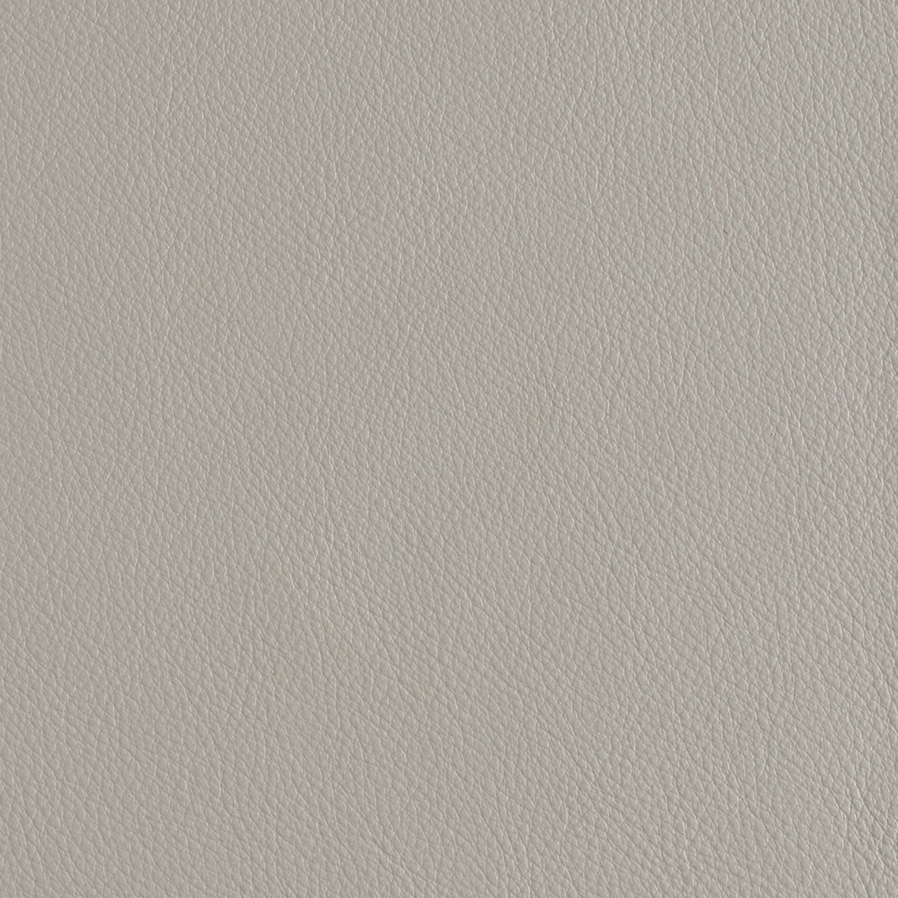 Sable Grey
