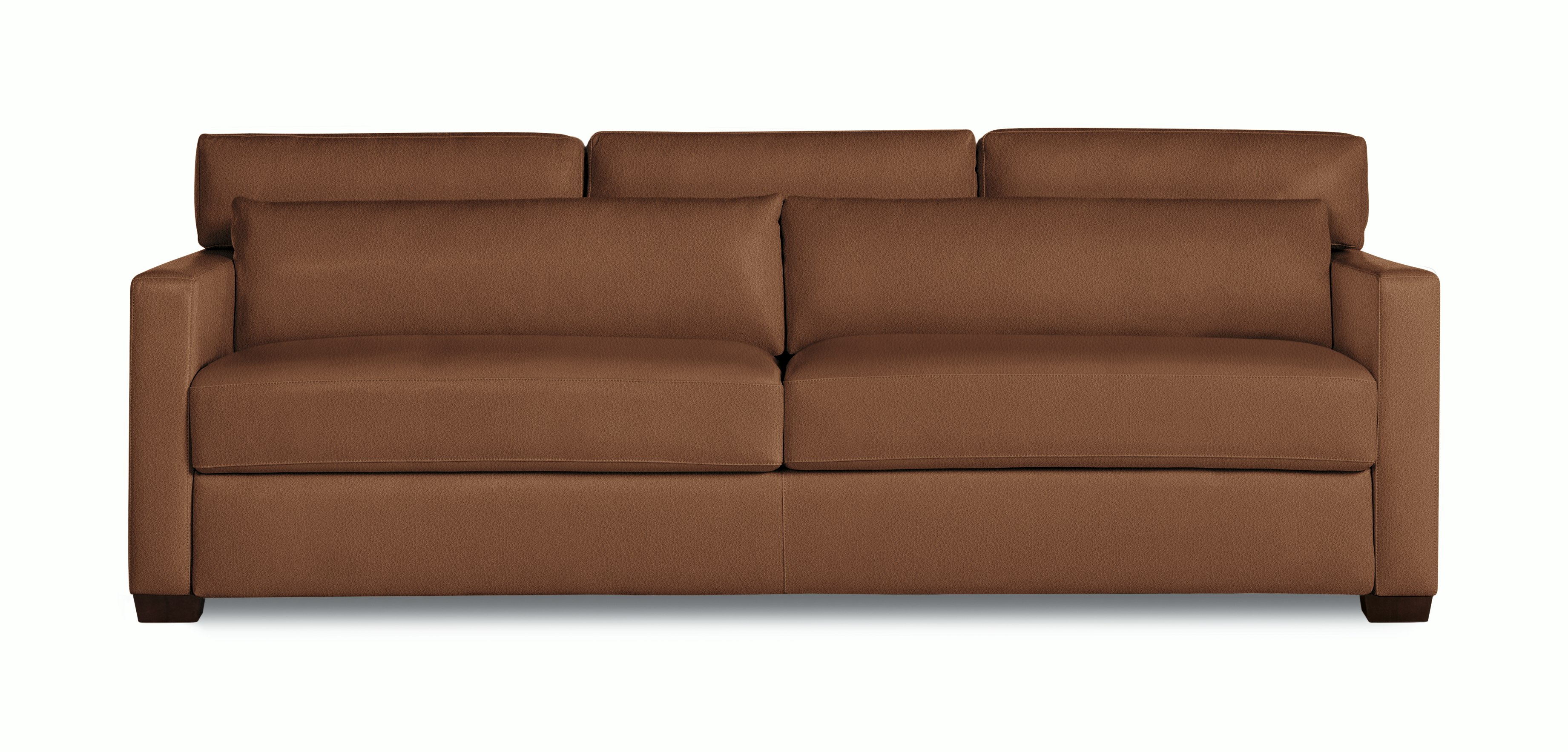 Vesper Sleeper Sofa, Leather