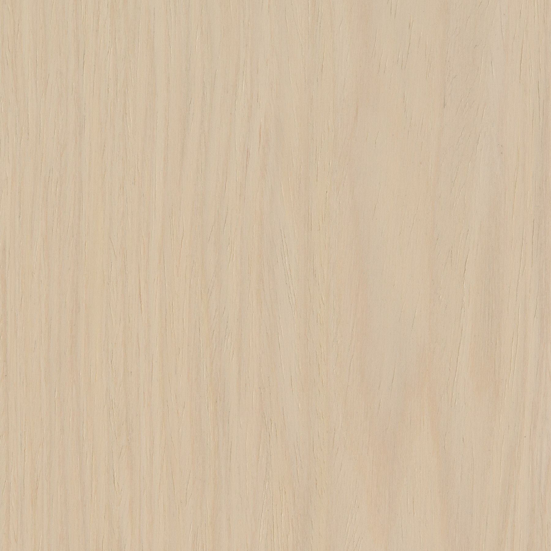 Central Palette - Veneer White Maple Techwood