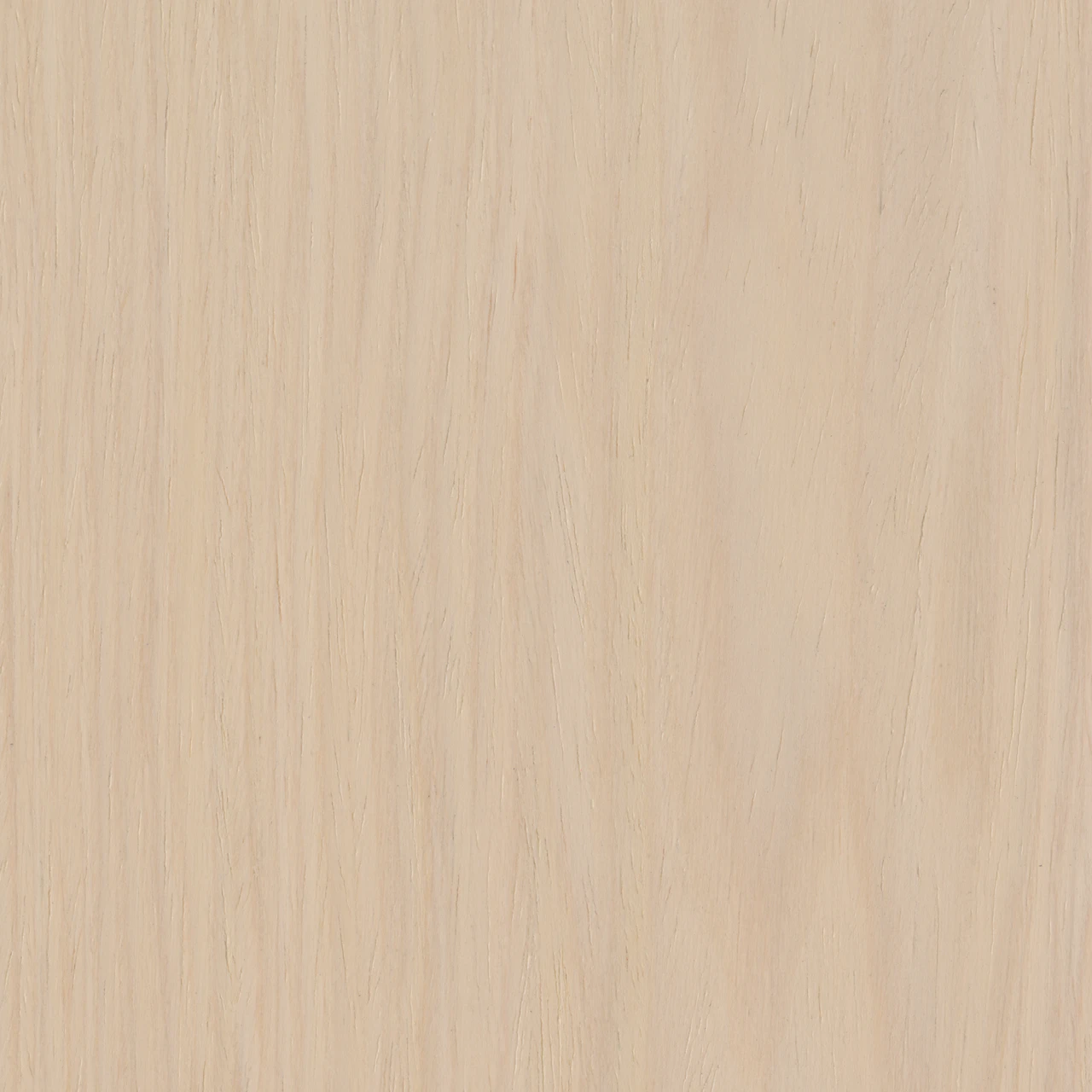 White Maple Techwood