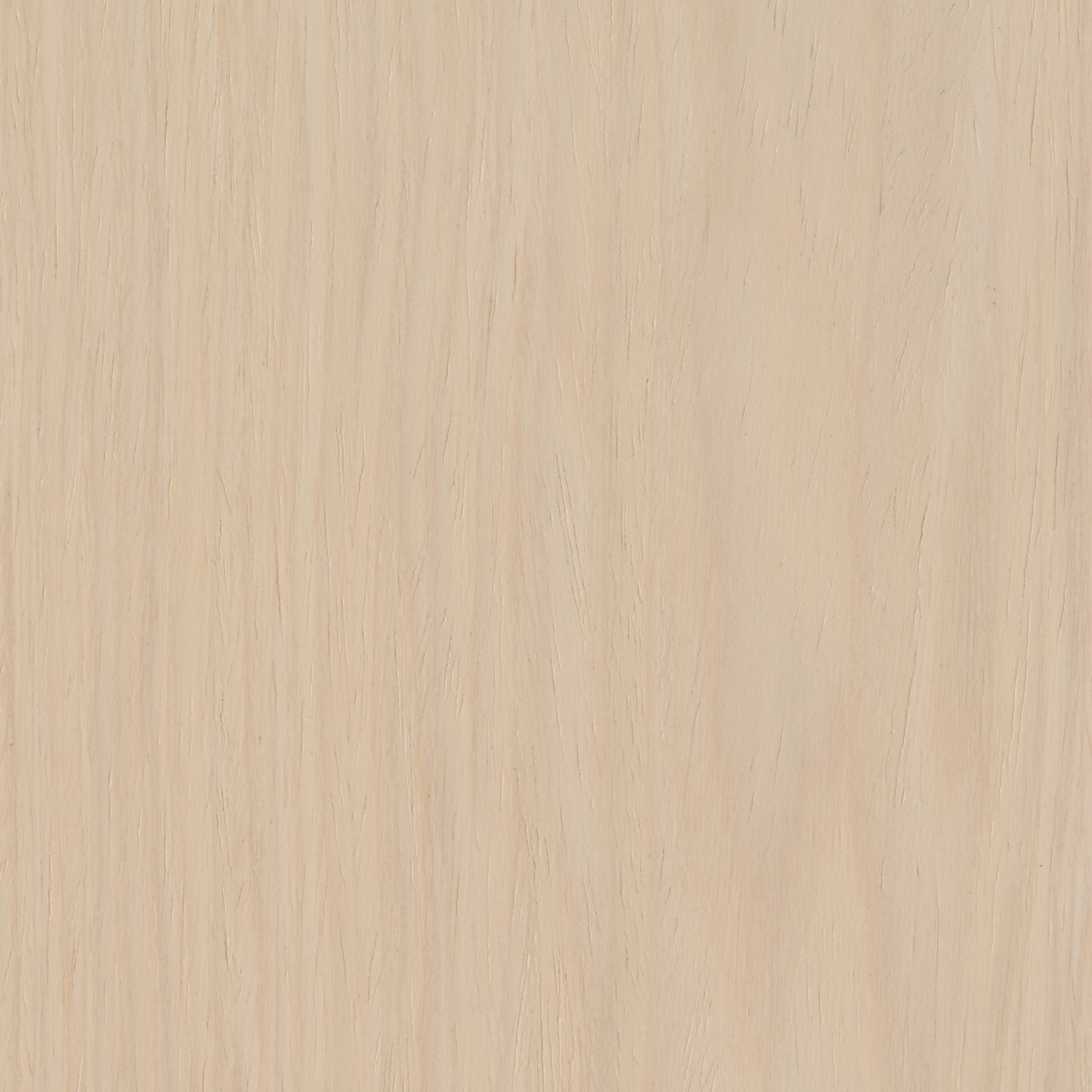 White Maple Techwood