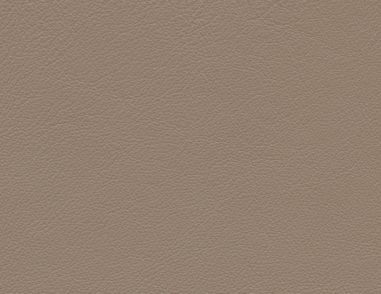 Clay