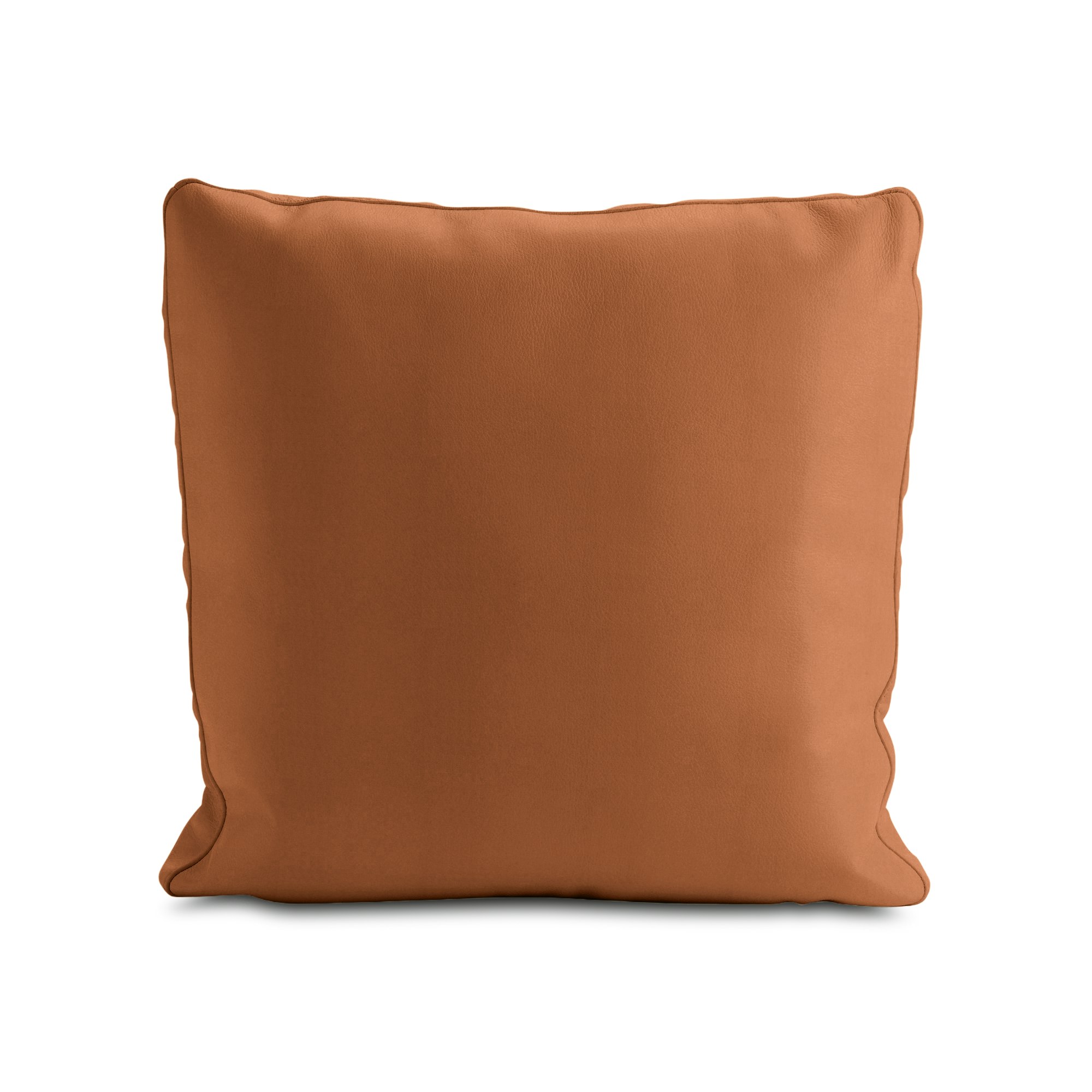 A Reid Throw Pillow in Crypton Sintra Velvet Clay viewed from the front.