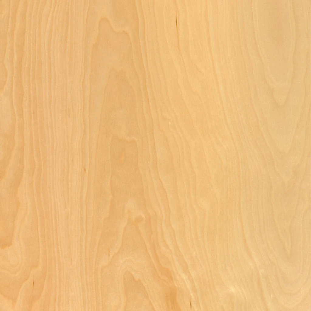Birch (V2)