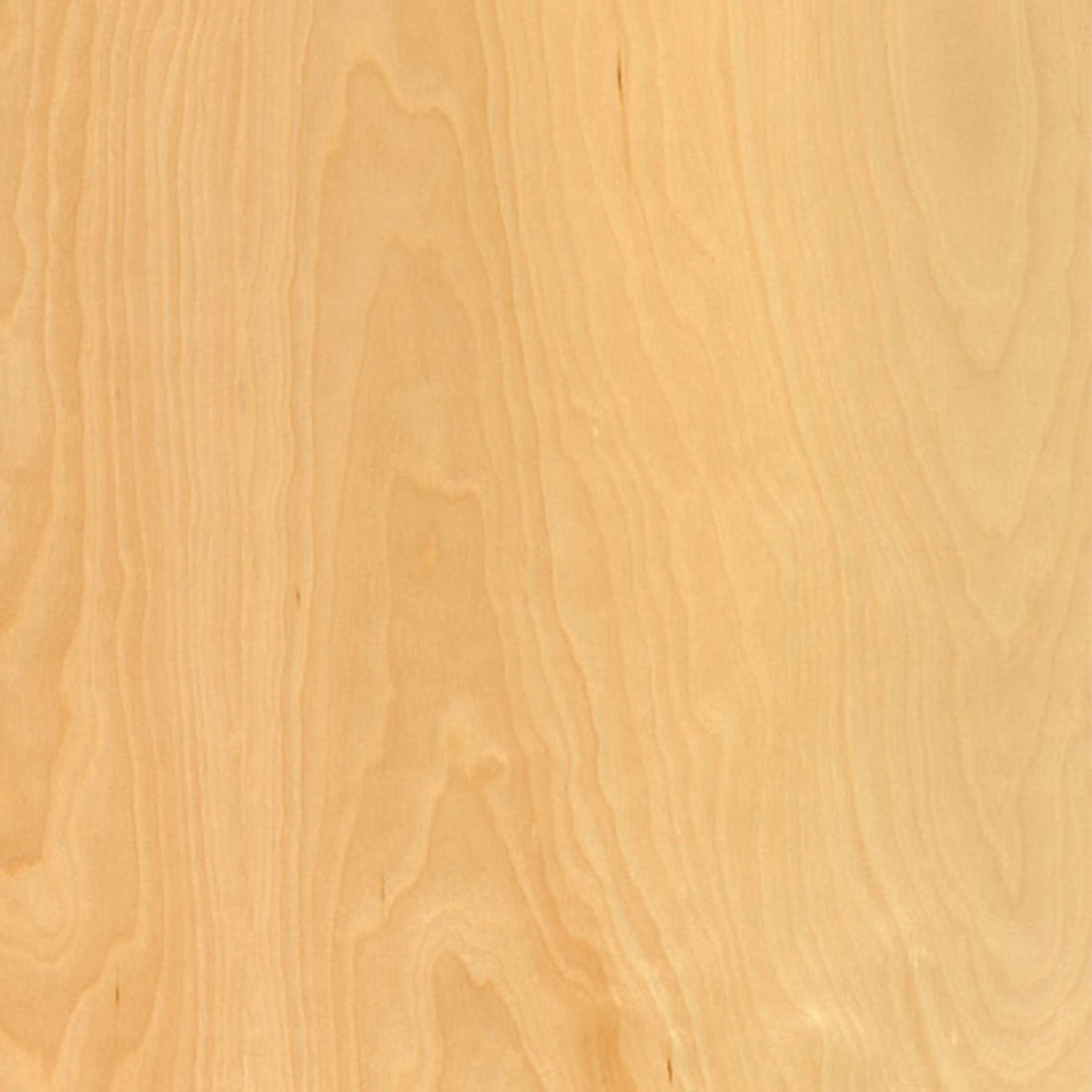 Birch (V2)