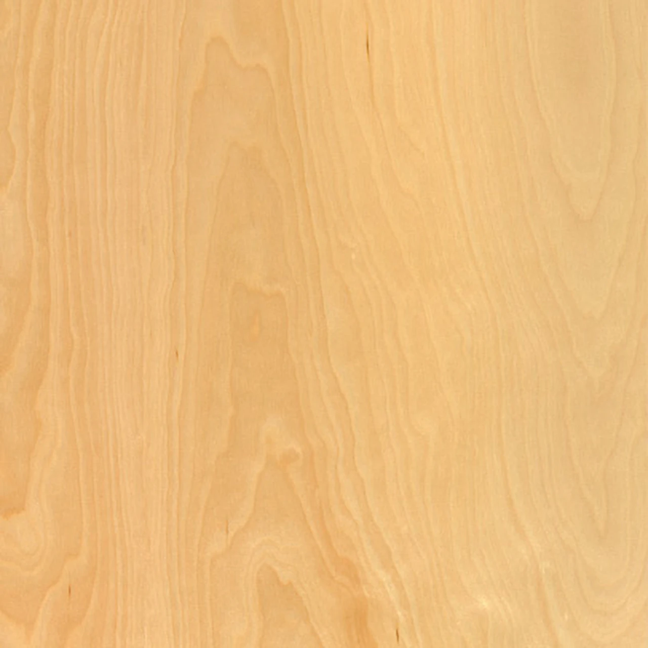 Birch (V2)