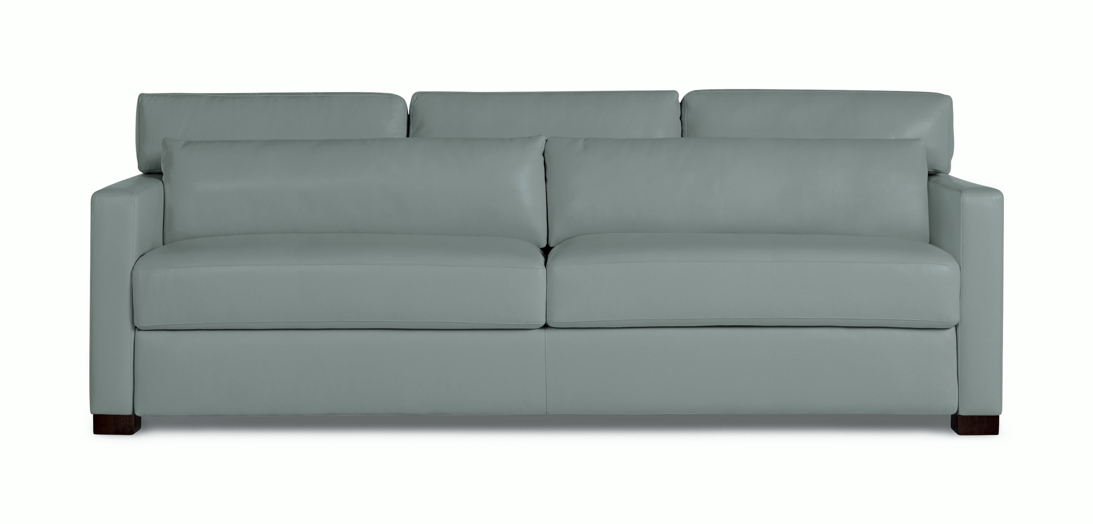 Vesper Sleeper Sofa, Leather