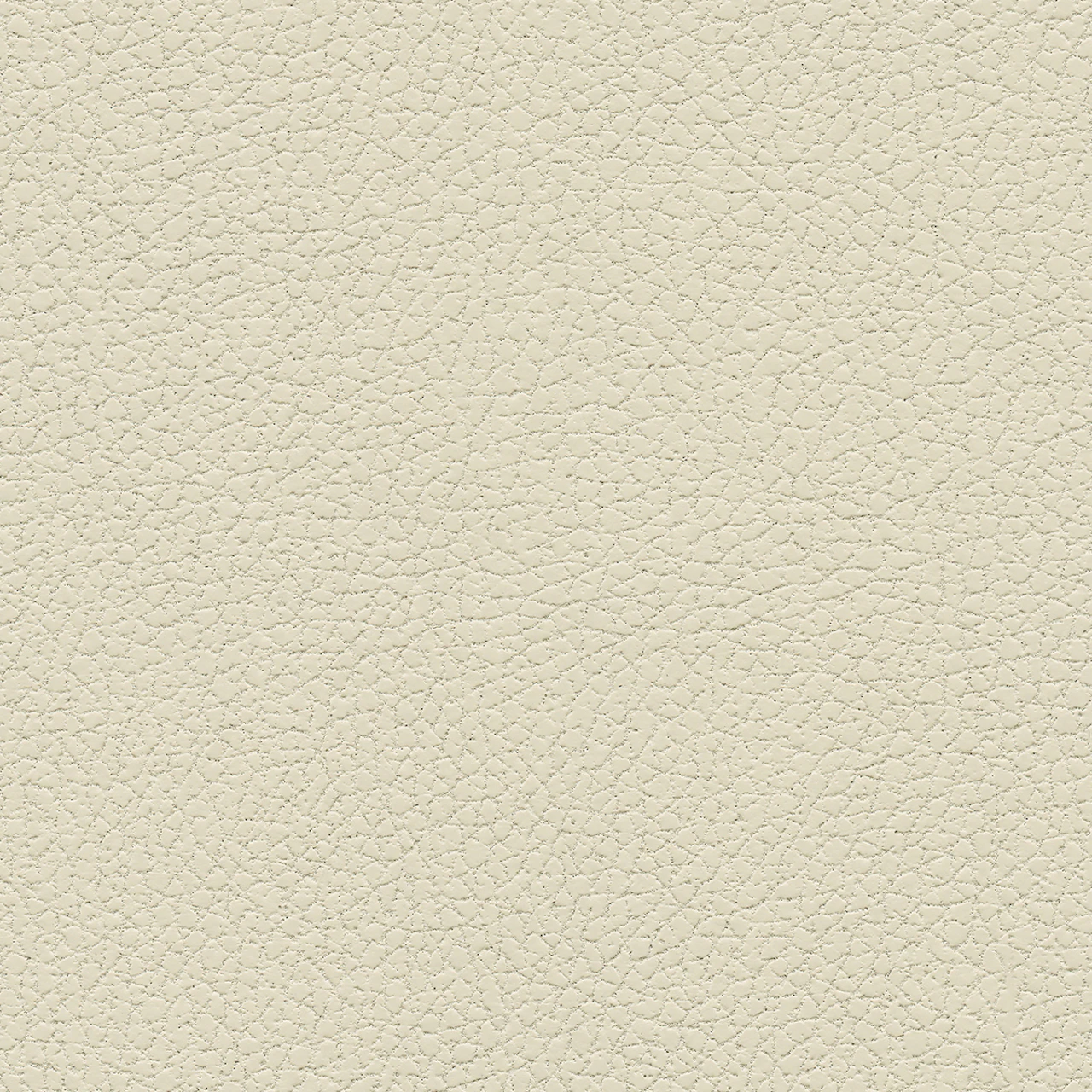Birch