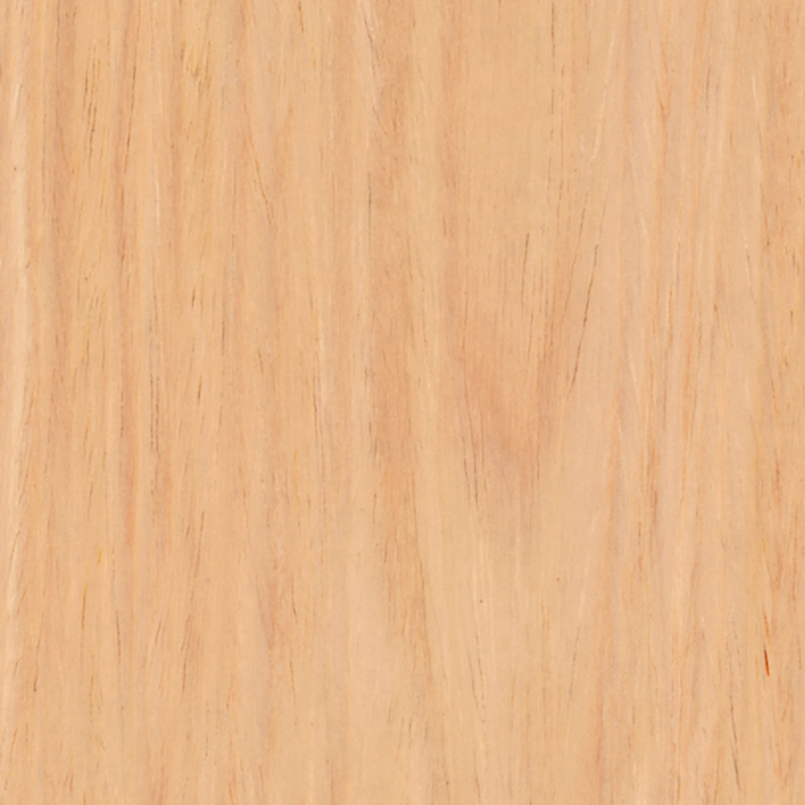 Maple (V1)