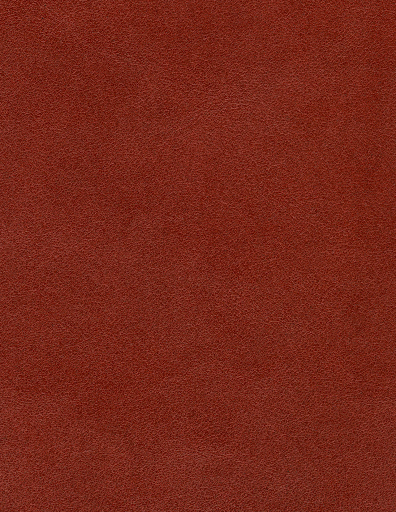 Orvielo