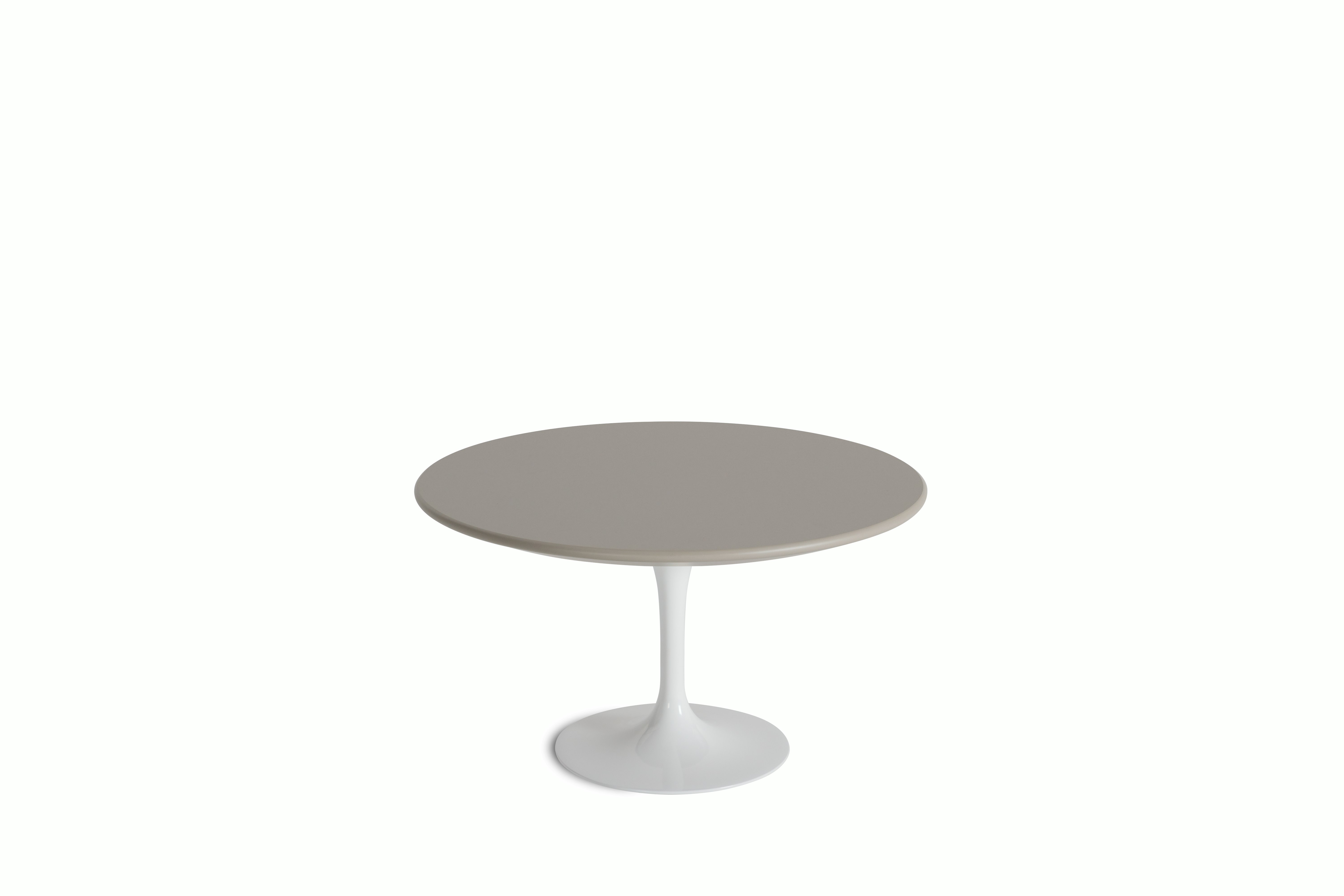 Saarinen Coffee Table - 35 Inch, Round, Laminate, Modern Clay, White Base