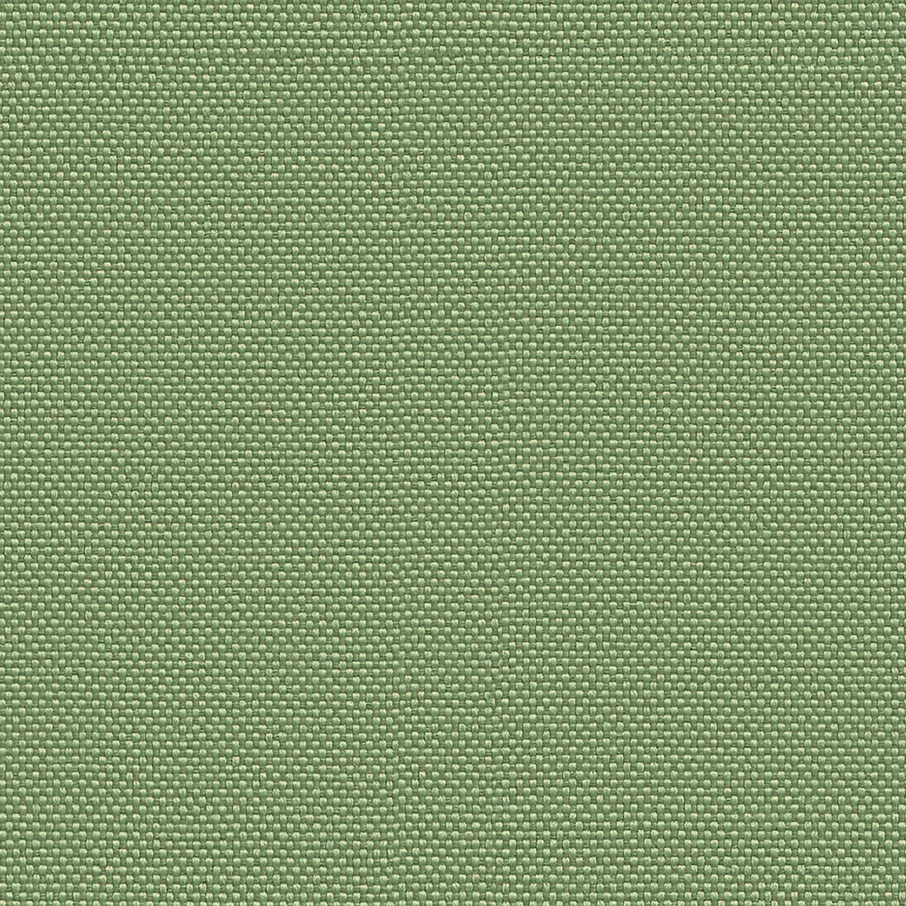 Sea Grass