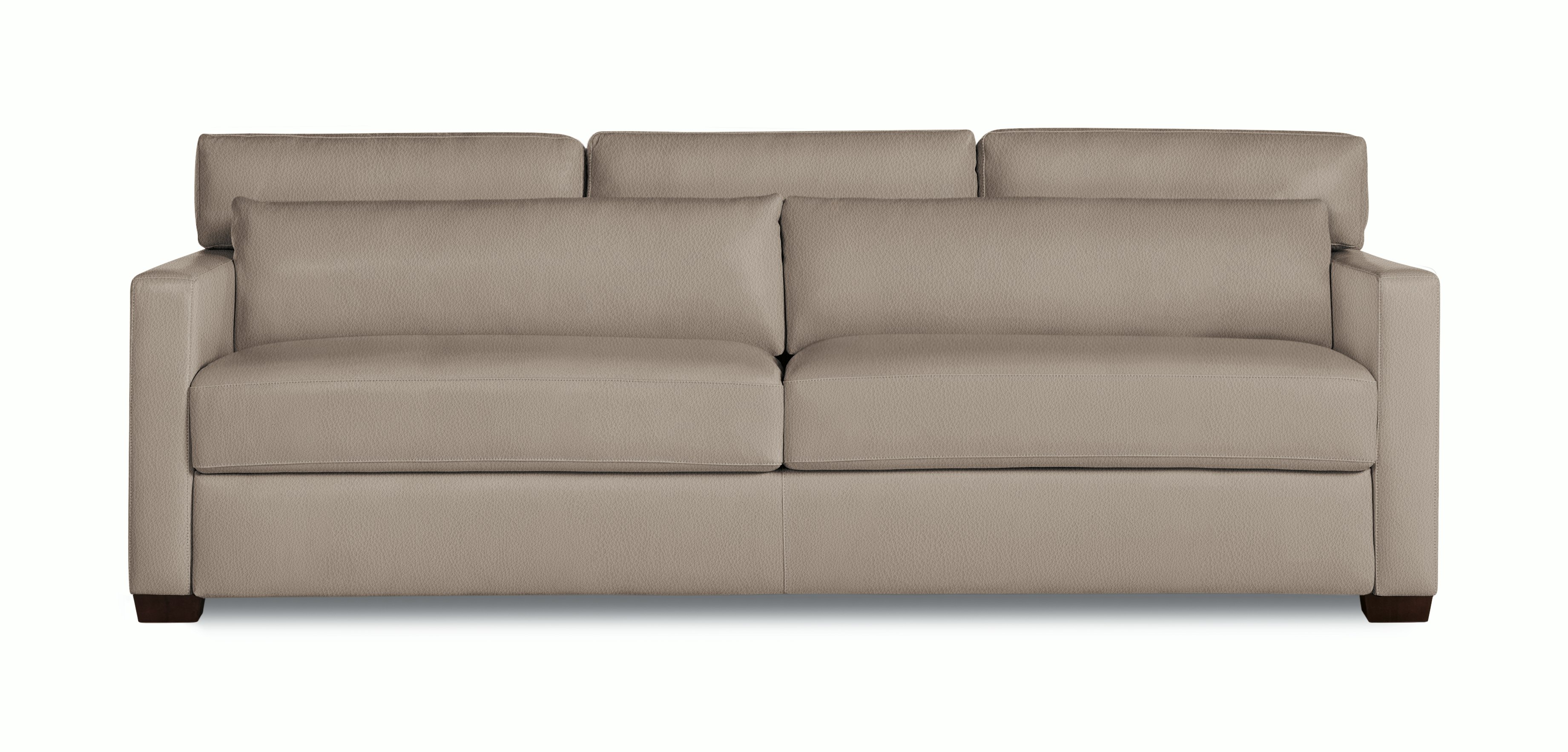 Vesper Sleeper Sofa, Leather