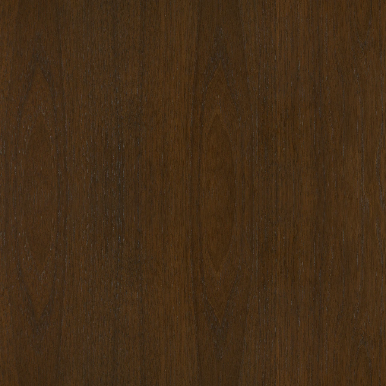 Persian Walnut