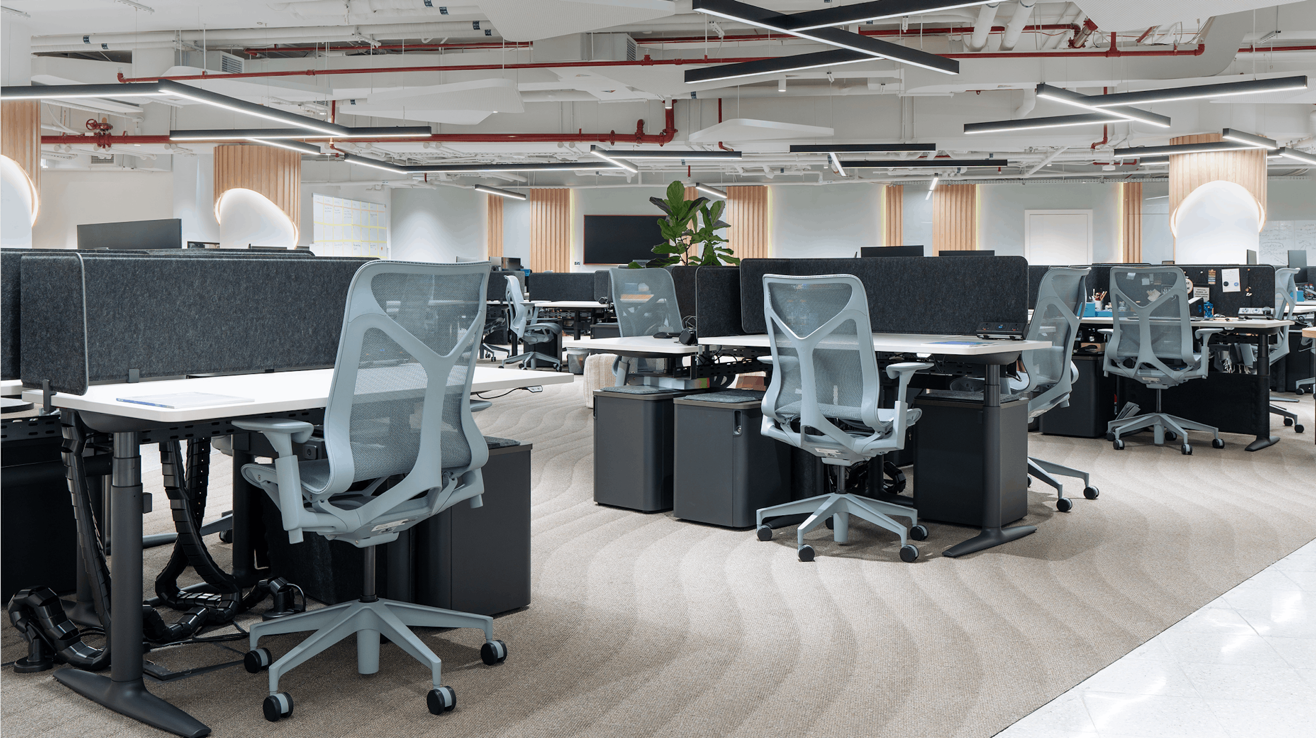 An open plan office with groups of Altas desks and Cosm Chairs.