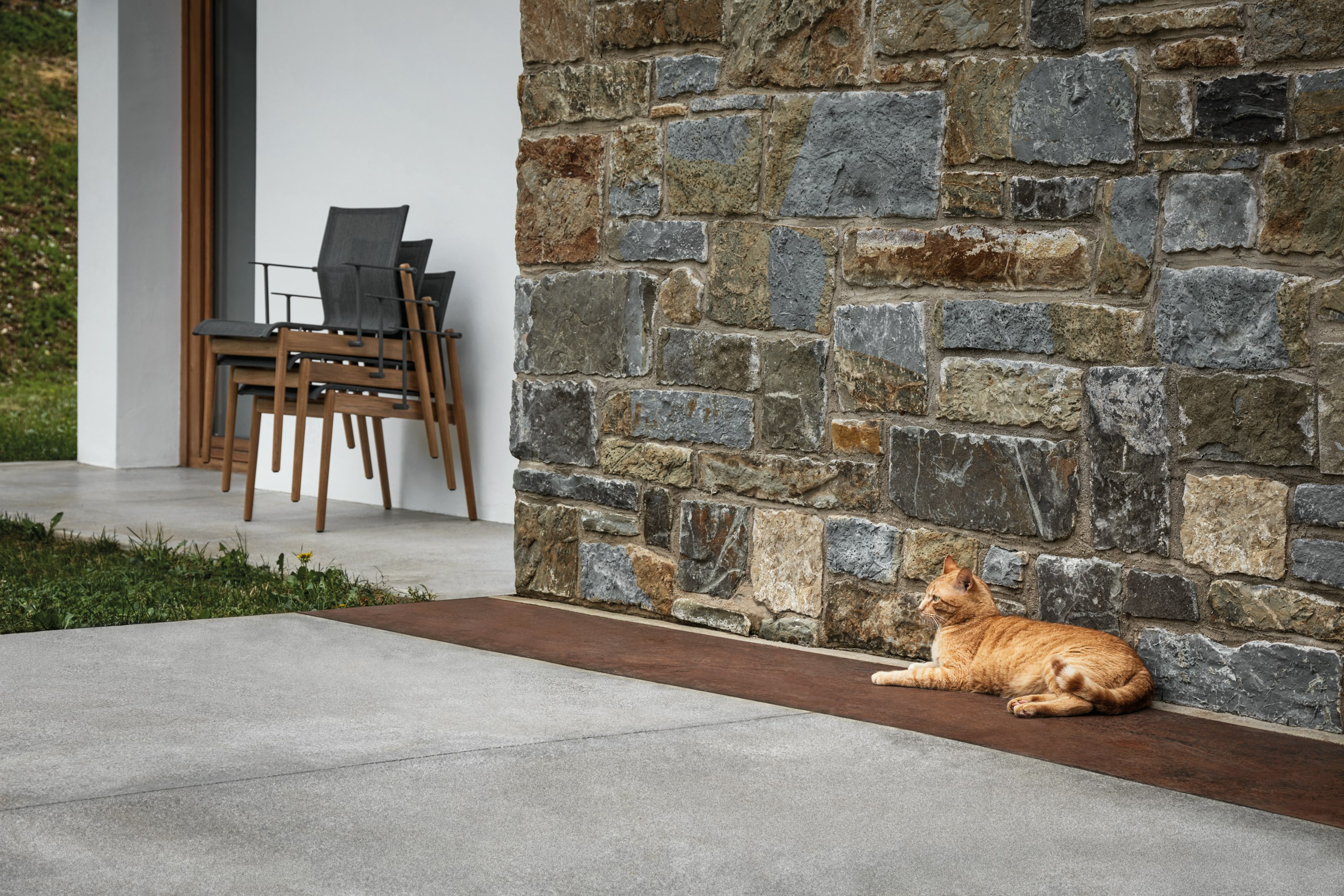 Sway Dining Chair