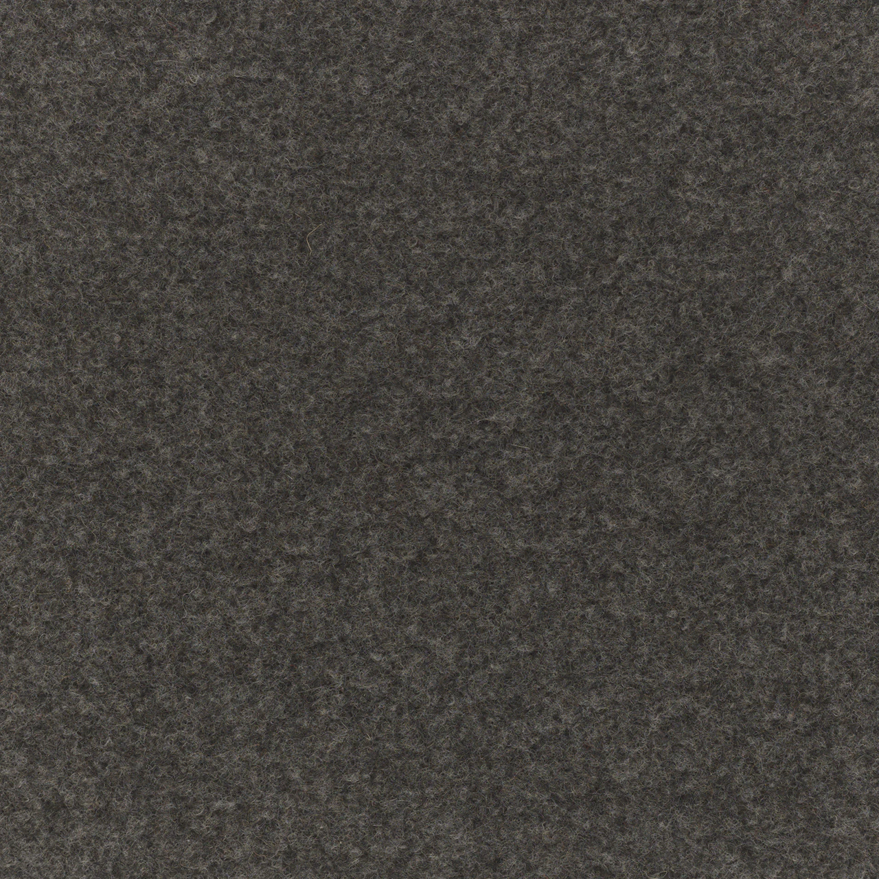 Cape Charcoal