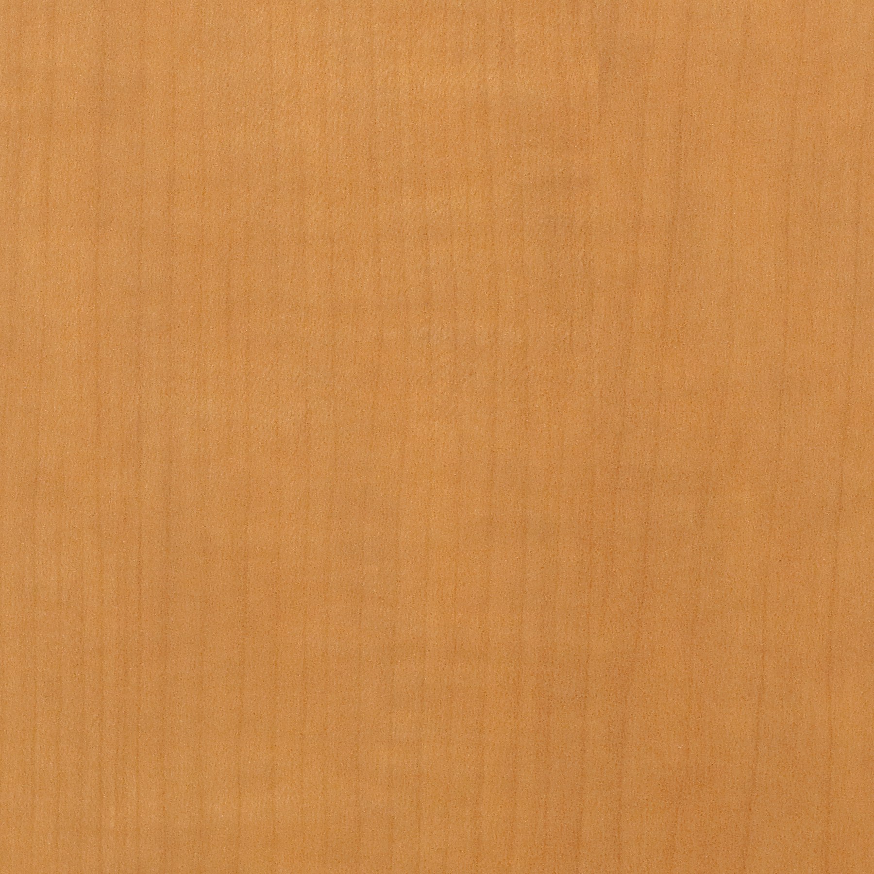 Woodgrain Laminate Light Anigre