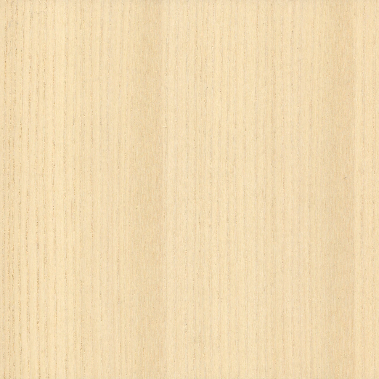 White Quarter Cut Ash