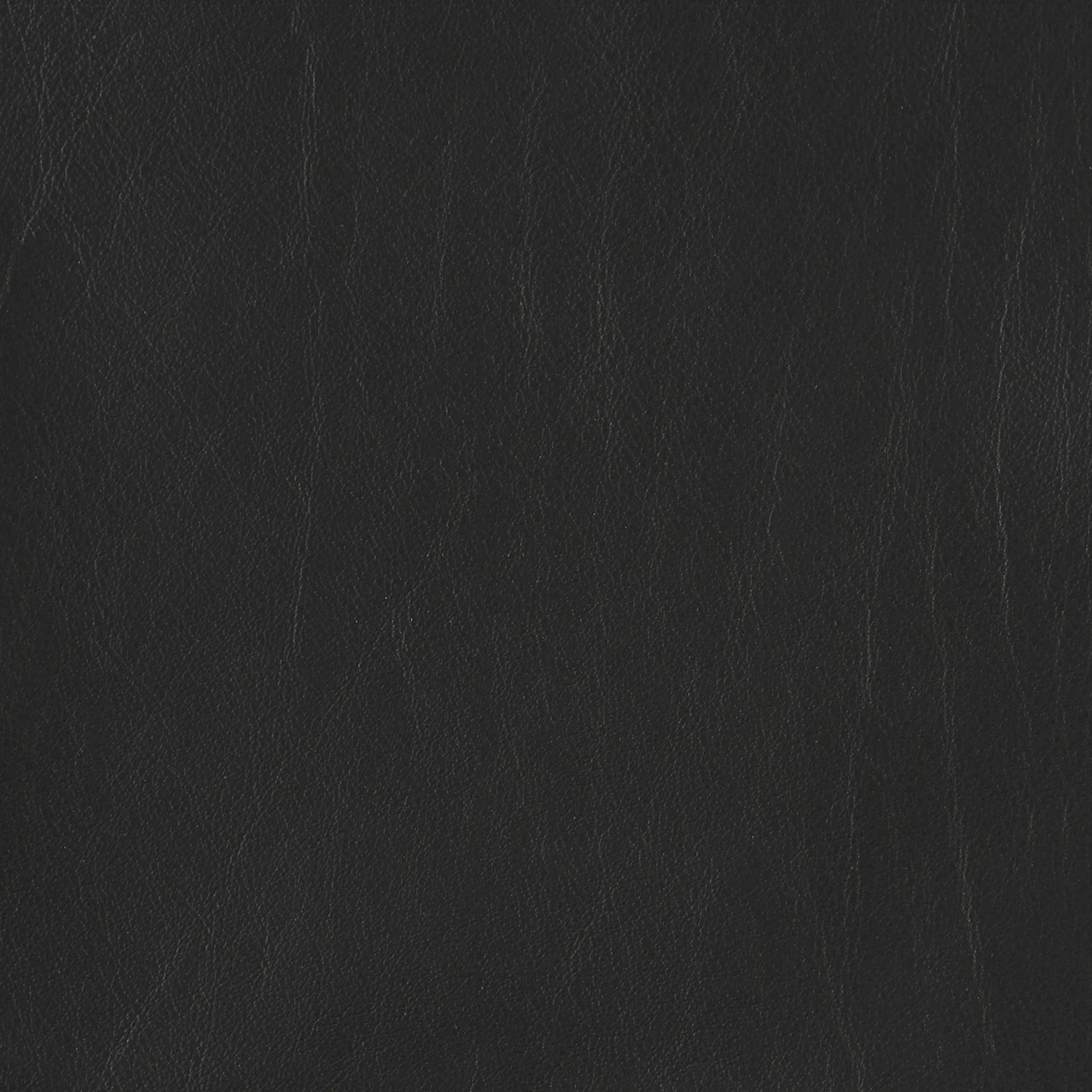 Dark Shale