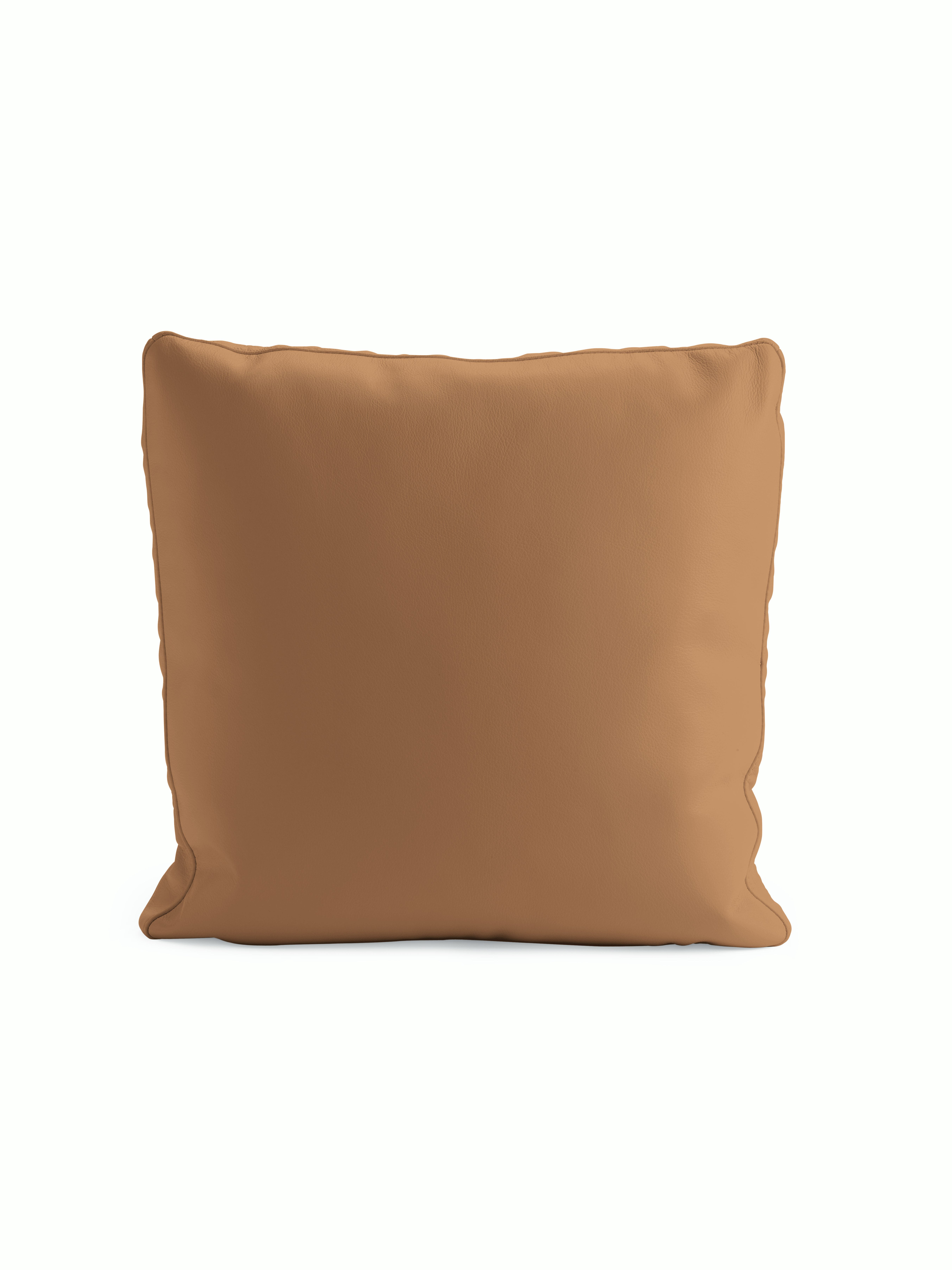 Reid Throw Pillow