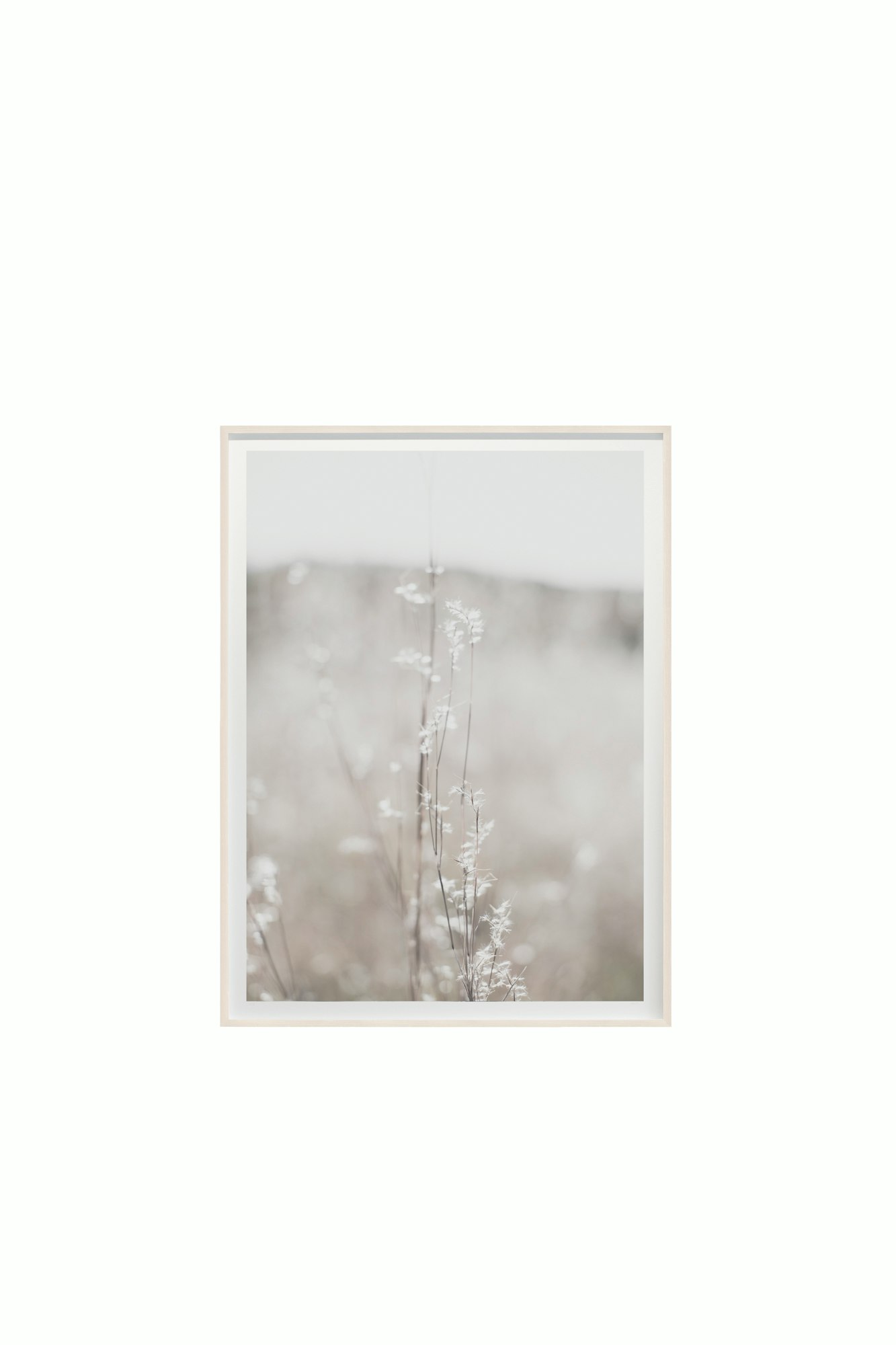 Fields and Flora No. 5450 by Cas Friese - 30x40