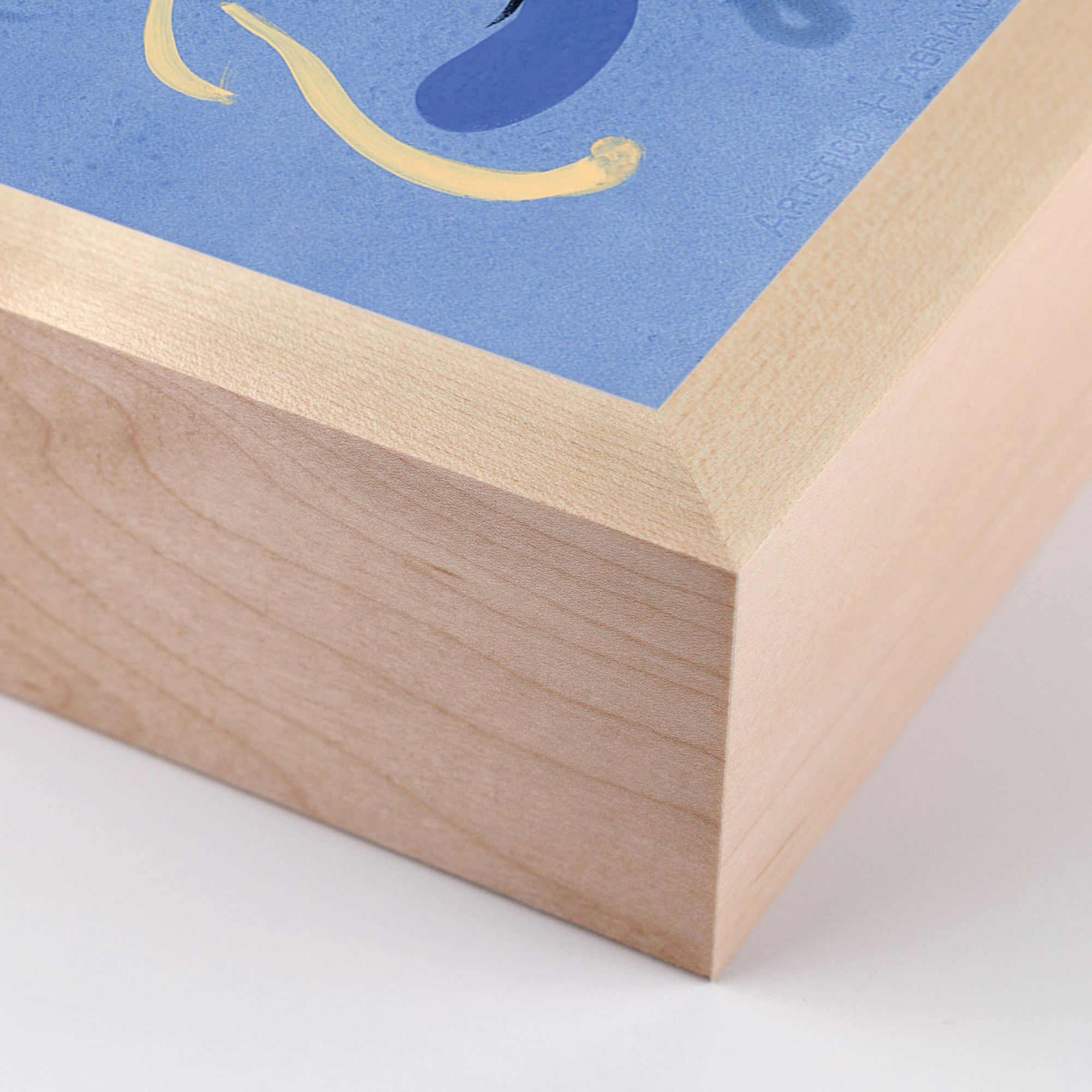 Windswept - Kayla Plosz Antiel