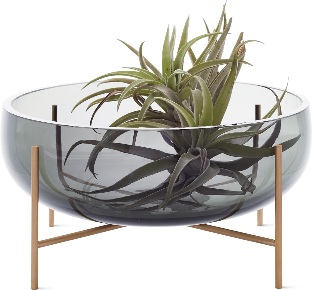 Echasse Bowl