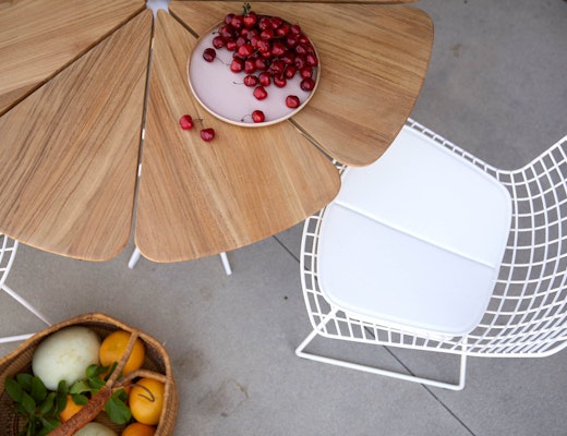 Petal Dining Table & Bertoia Side Chair Petal Dining Table Bertoia Side Chair