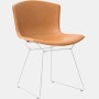 Bertoia Side Chair