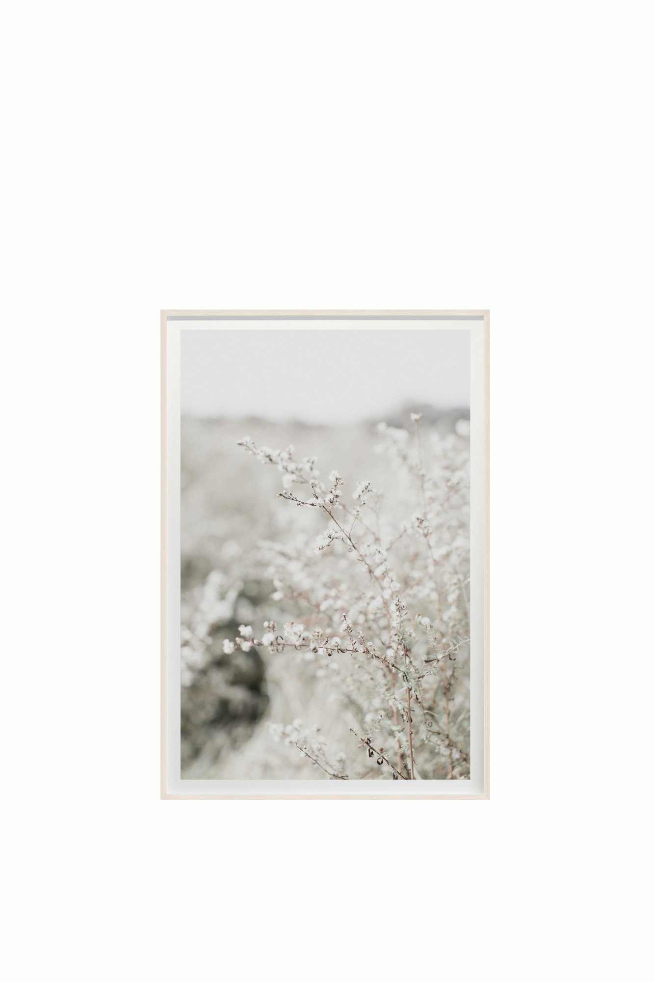 Fields and Flora No. 5664 by Cas Friese - 40x60